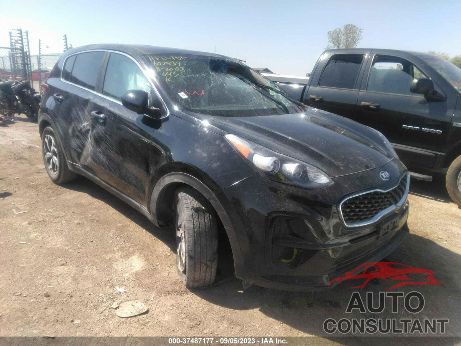 KIA SPORTAGE 2022 - KNDPM3ACXN7977884