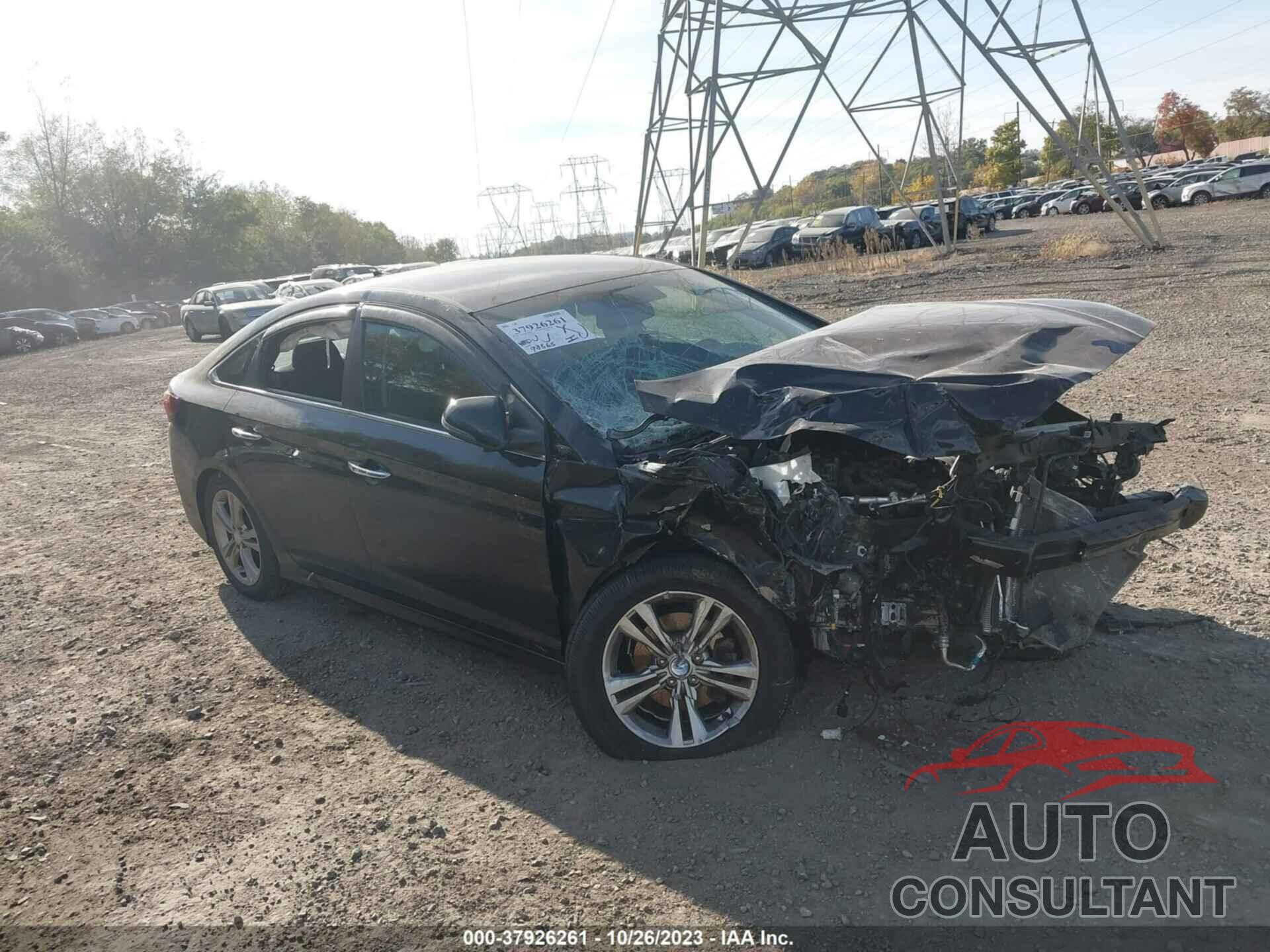 HYUNDAI SONATA 2019 - 5NPE34AF1KH729170