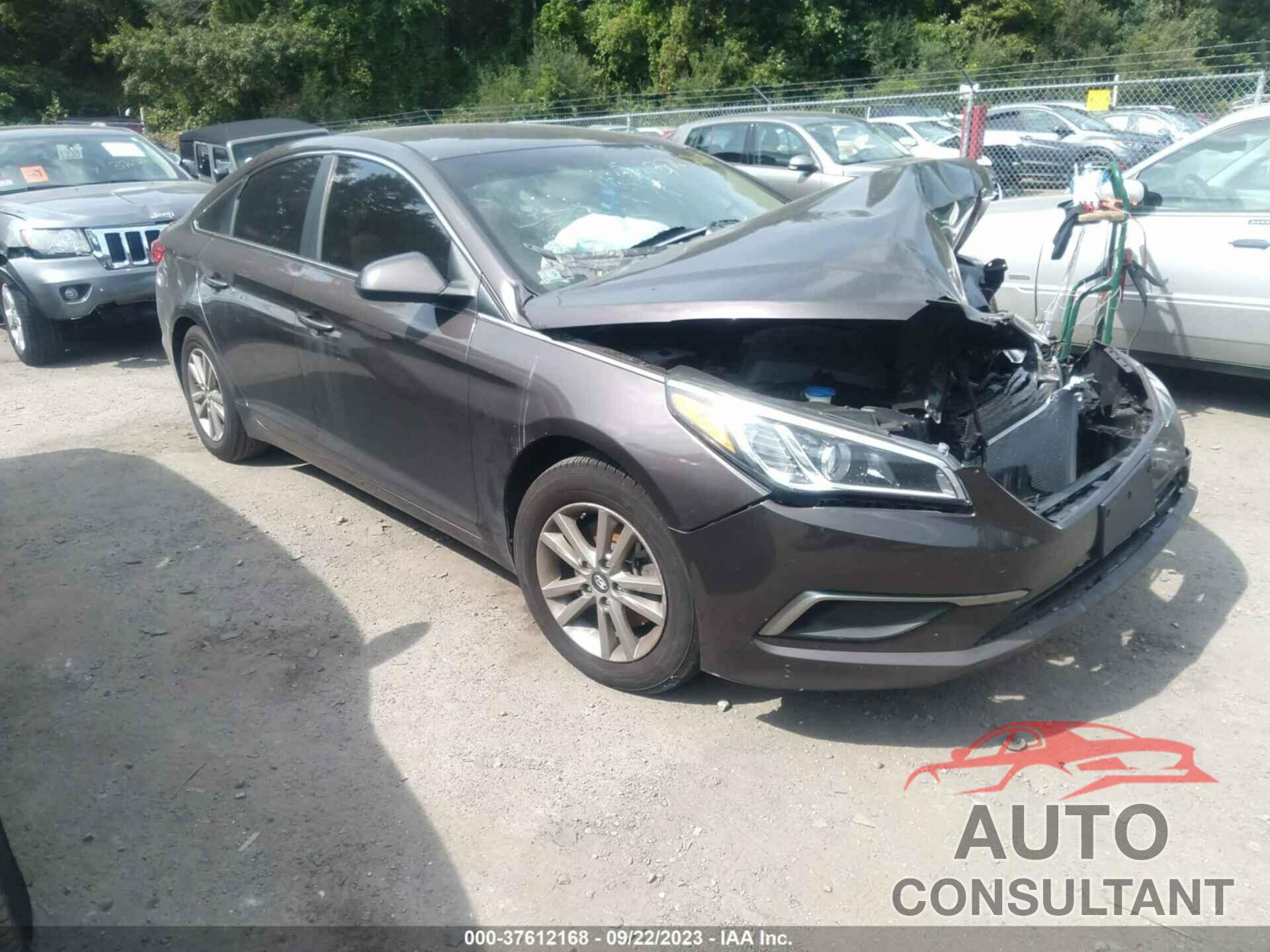 HYUNDAI SONATA 2016 - 5NPE24AF5GH280389