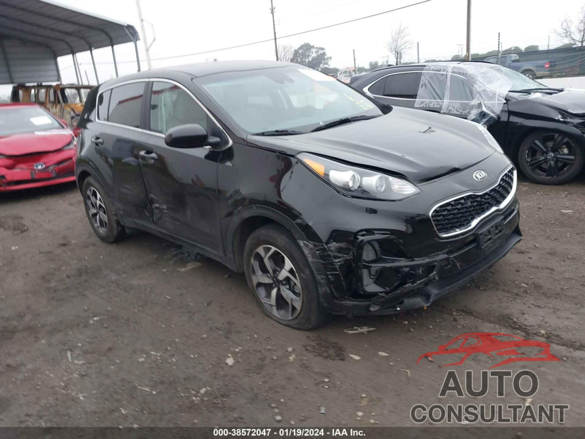 KIA SPORTAGE 2022 - KNDPM3AC6N7021558