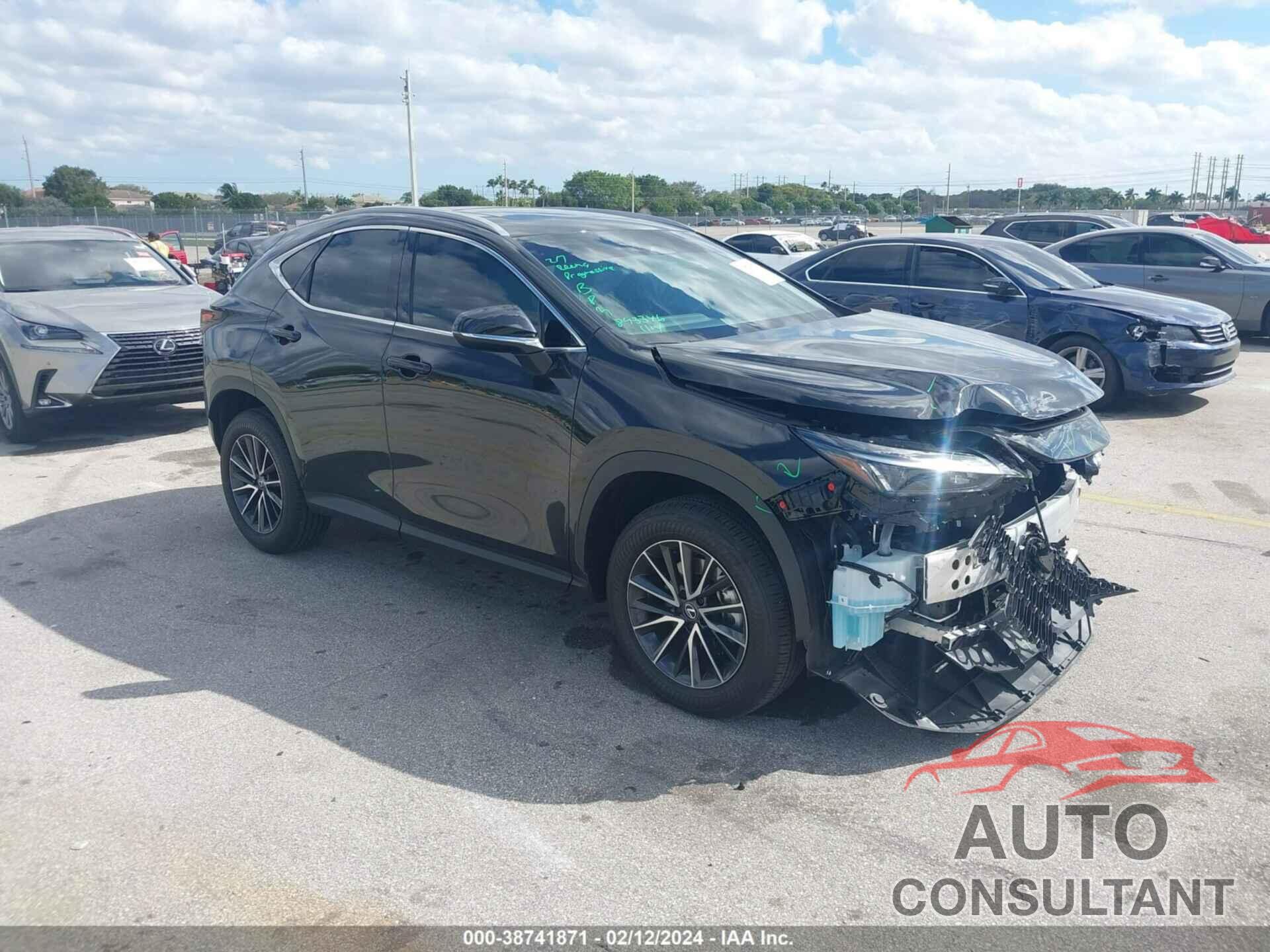 LEXUS NX 250 2024 - 2T2GDCAZ7RC012064