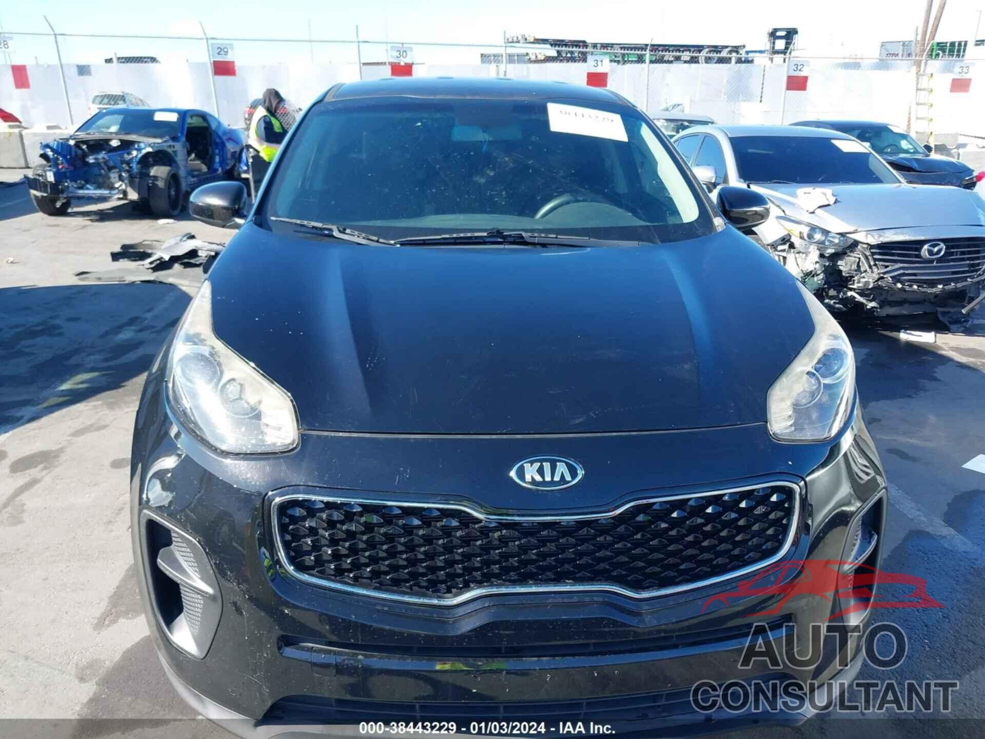 KIA SPORTAGE 2017 - KNDPM3AC1H7299210