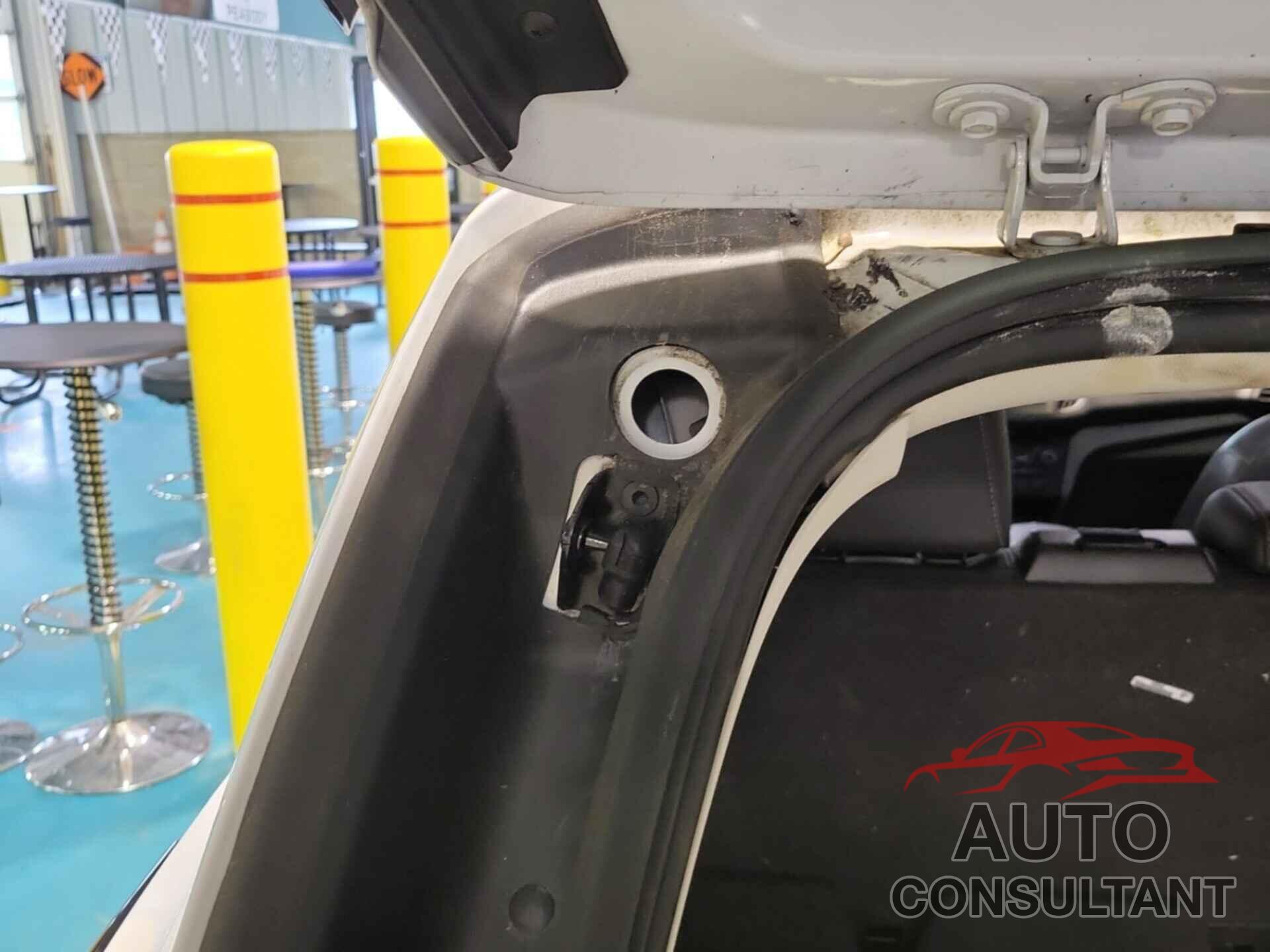 FORD ESCAPE 2019 - 1FMCU9HD0KUB33121