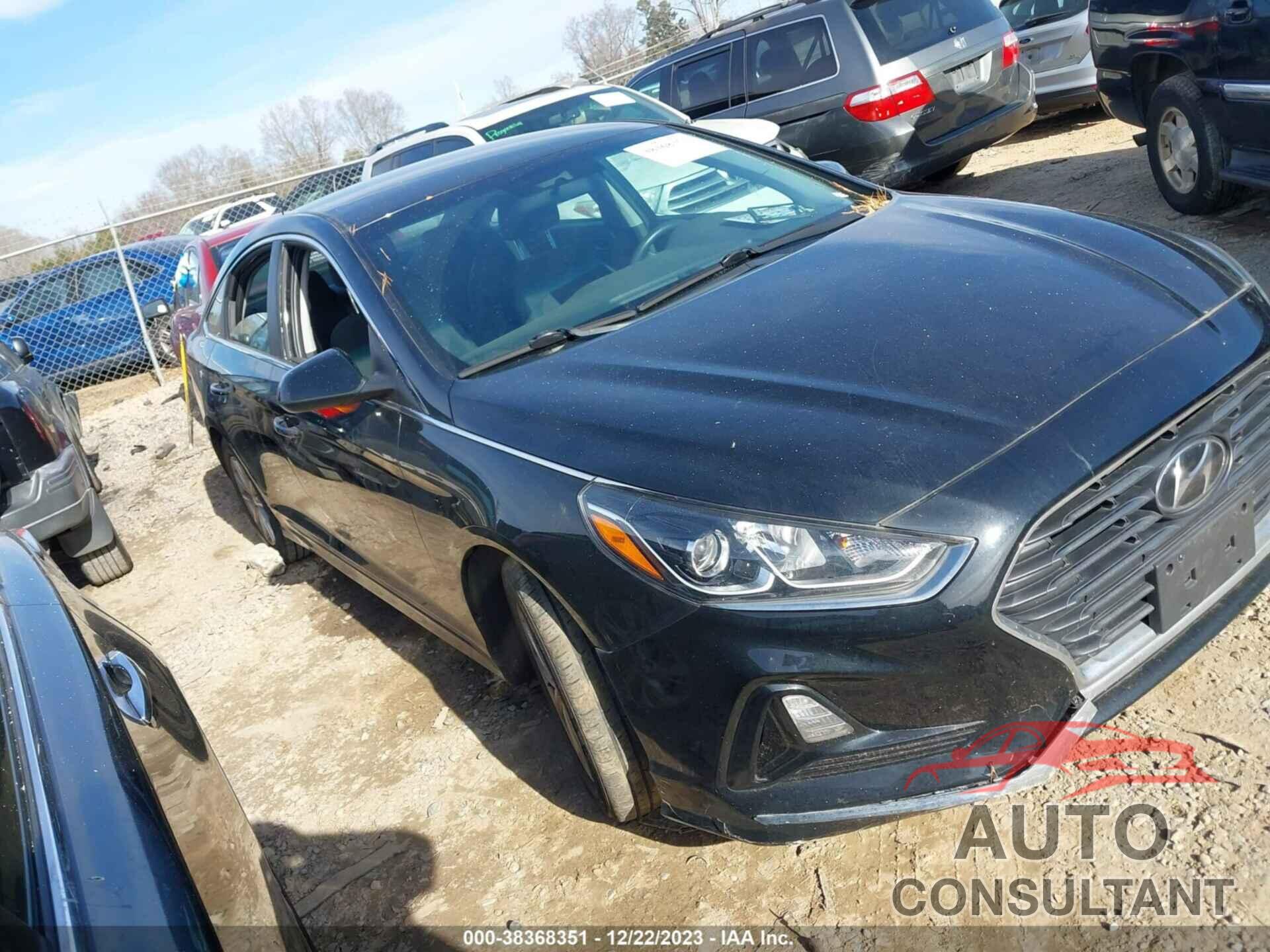 HYUNDAI SONATA 2019 - 5NPE24AF7KH764069