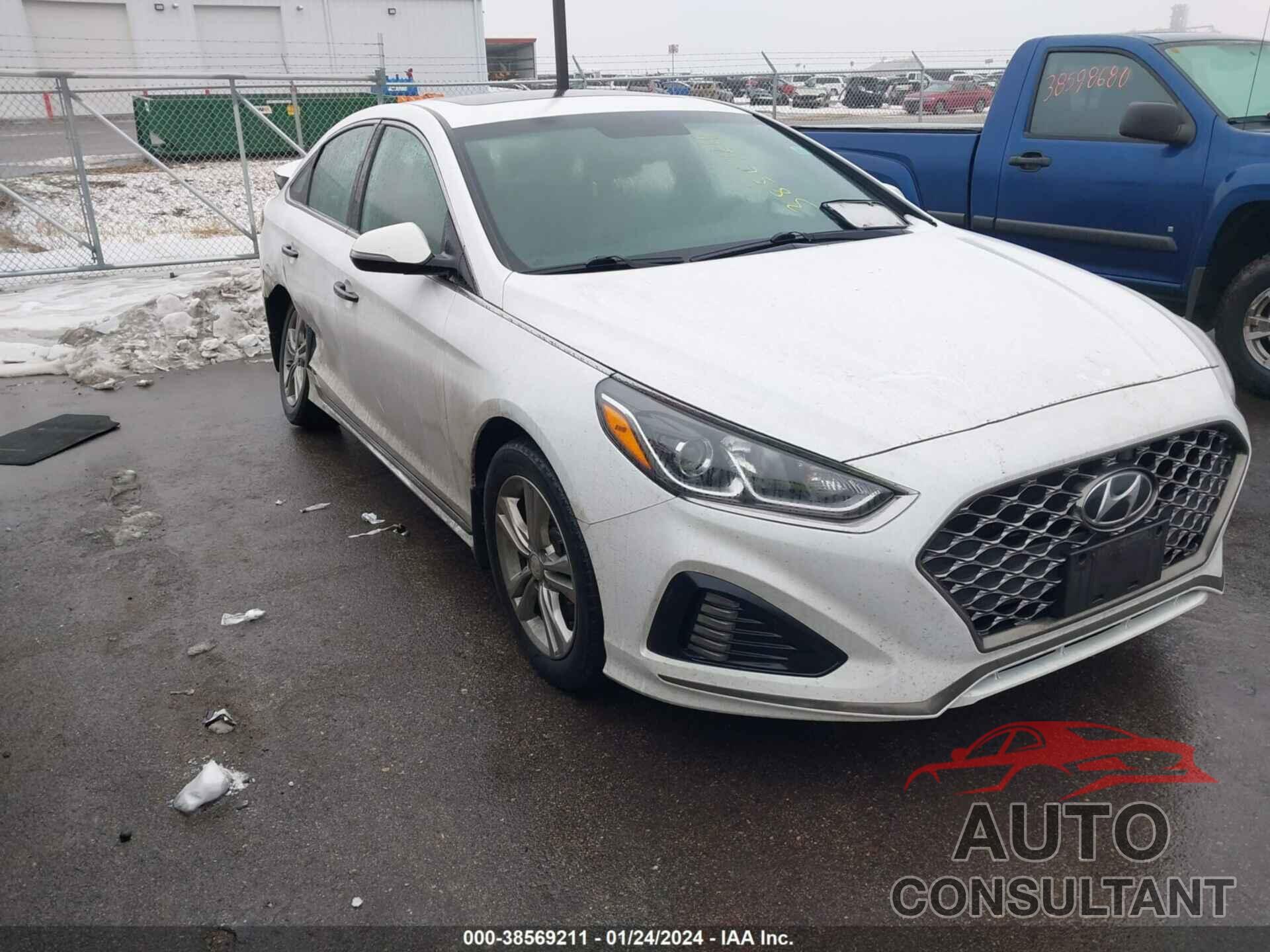 HYUNDAI SONATA 2019 - 5NPE34AF8KH809811