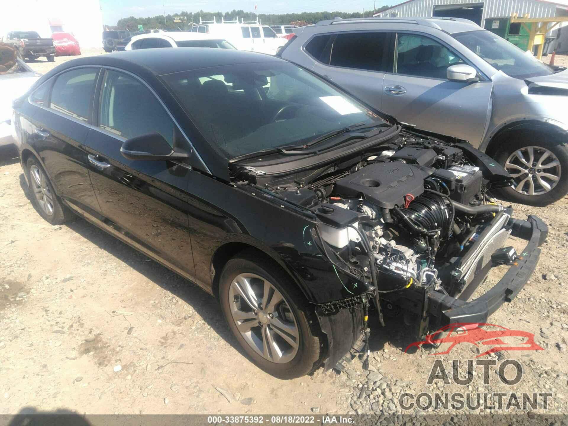 HYUNDAI SONATA 2019 - 5NPE34AF4KH815900