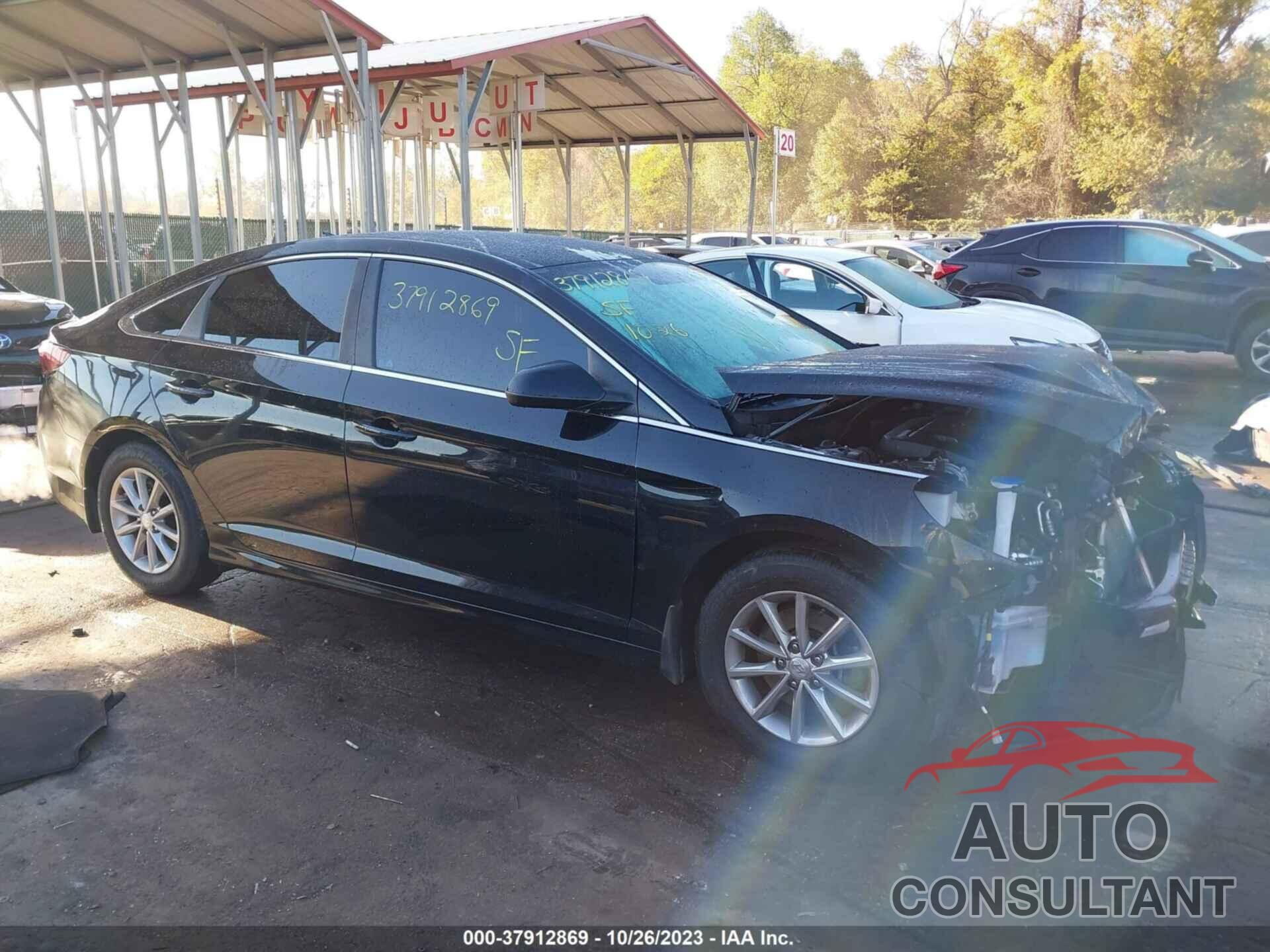 HYUNDAI SONATA 2019 - 5NPE24AF1KH737417