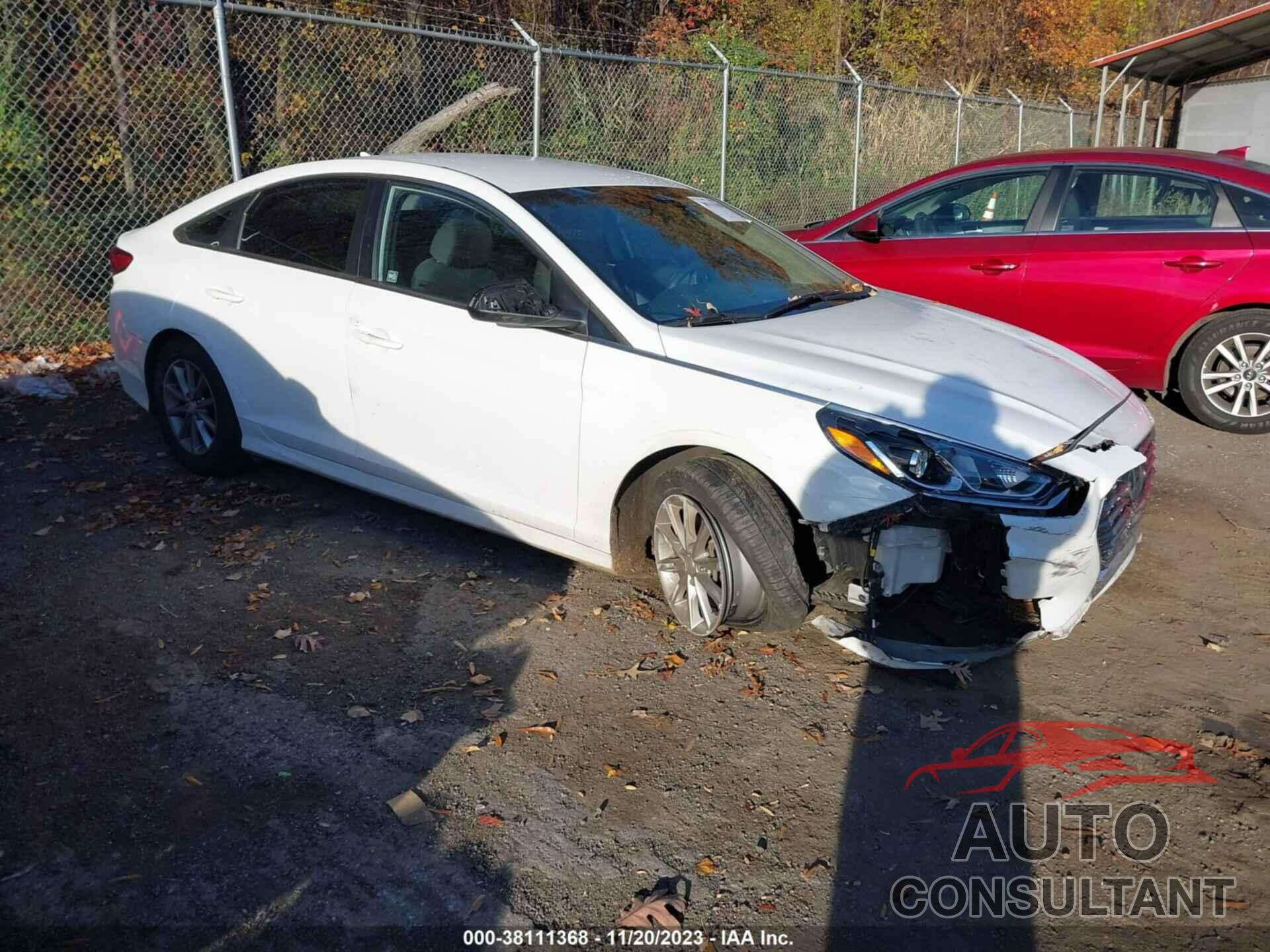 HYUNDAI SONATA 2019 - 5NPE24AF6KH746968
