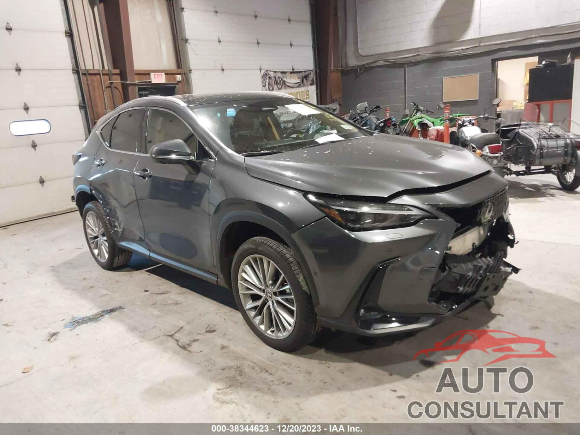 LEXUS NX 350H 2024 - 2T2HKCEZ6RC018863