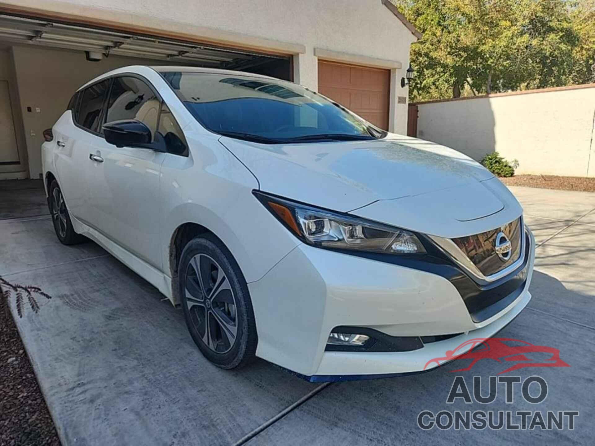 NISSAN LEAF 2020 - 1N4BZ1DP4LC302332