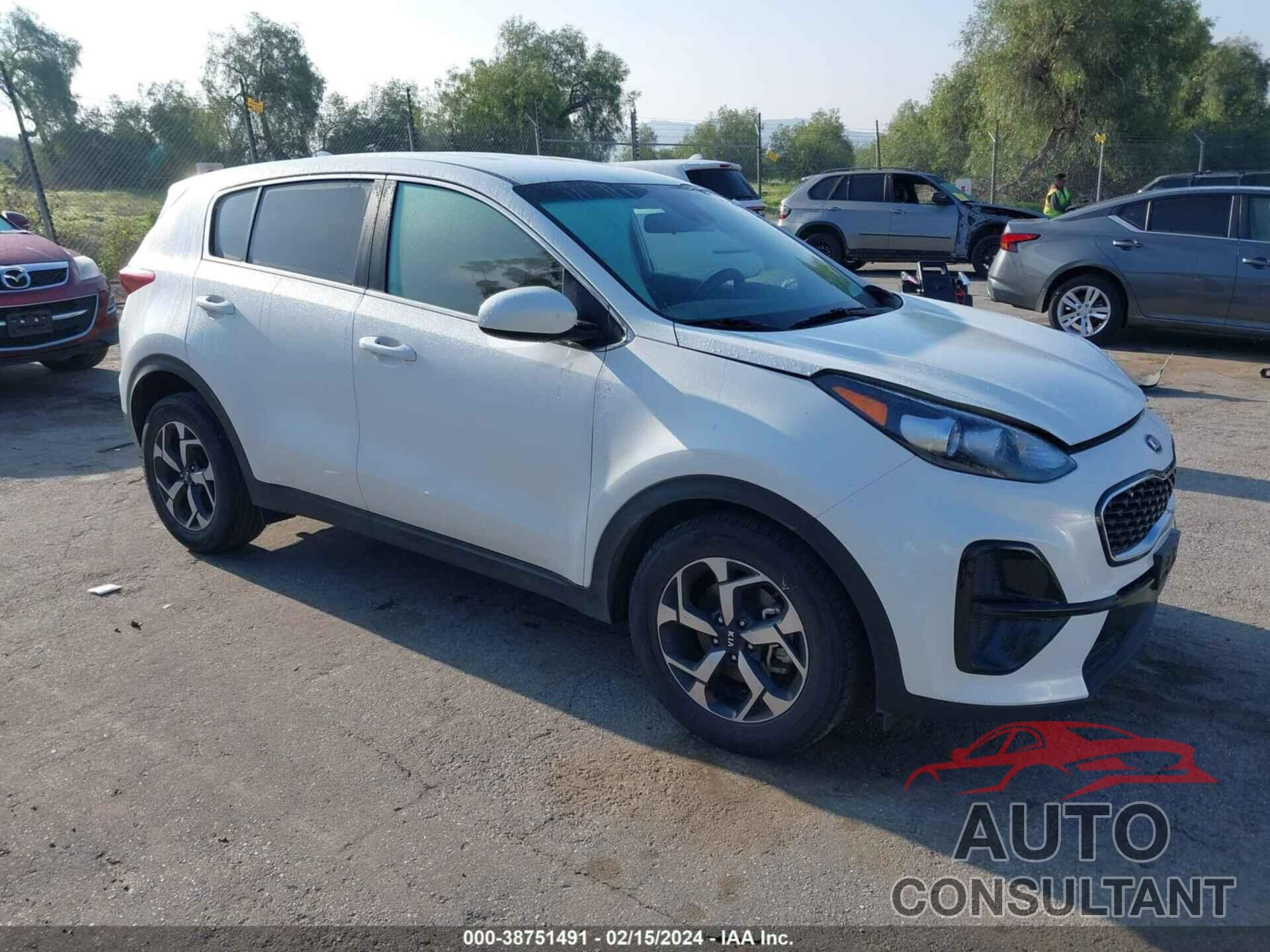 KIA SPORTAGE 2022 - KNDPM3AC6N7997596