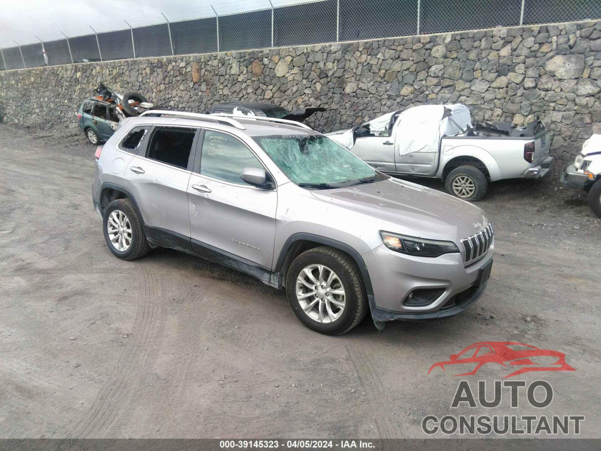 JEEP CHEROKEE 2019 - 1C4PJLCB8KD164439