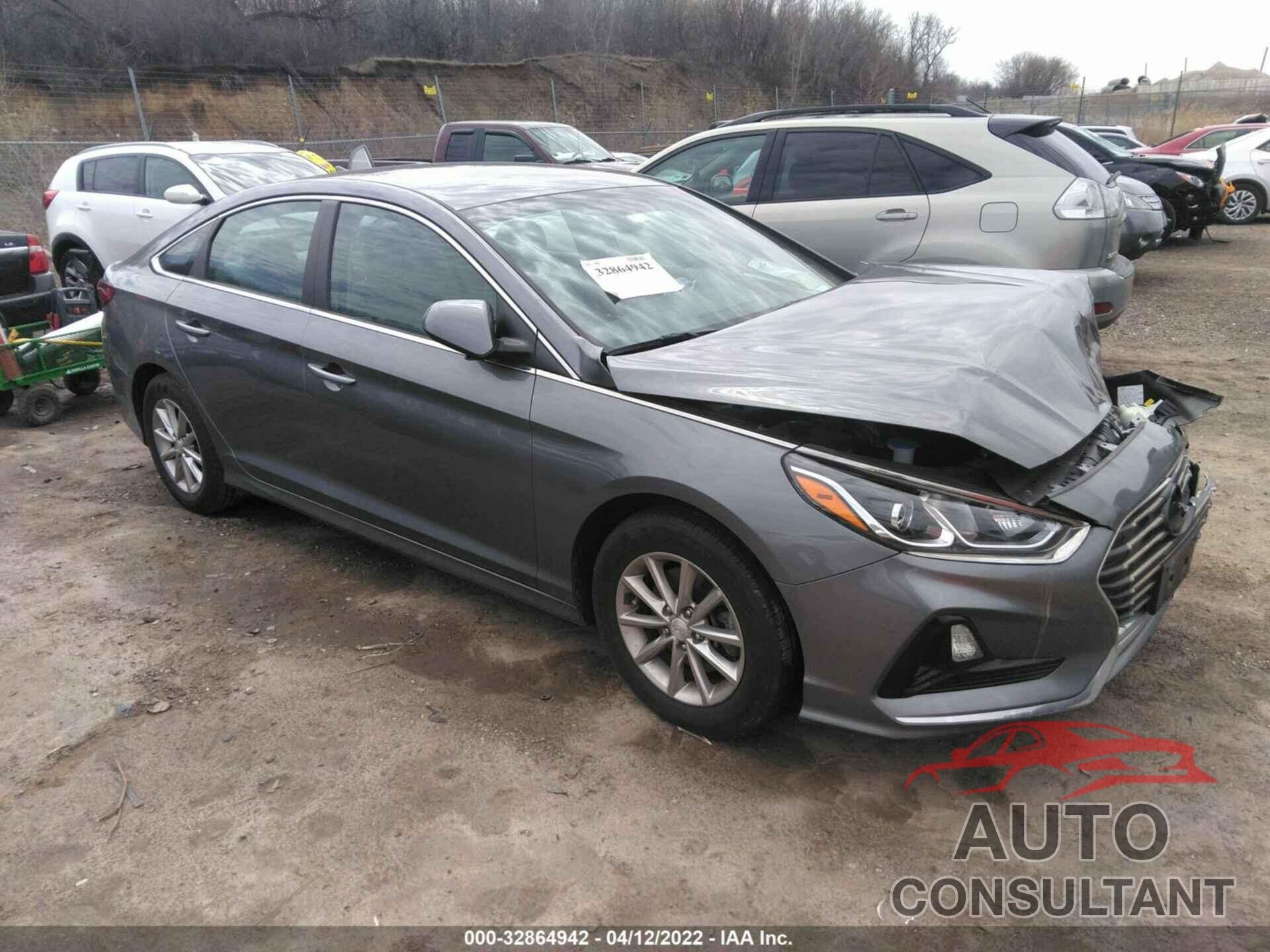 HYUNDAI SONATA 2019 - 5NPE24AF7KH769644