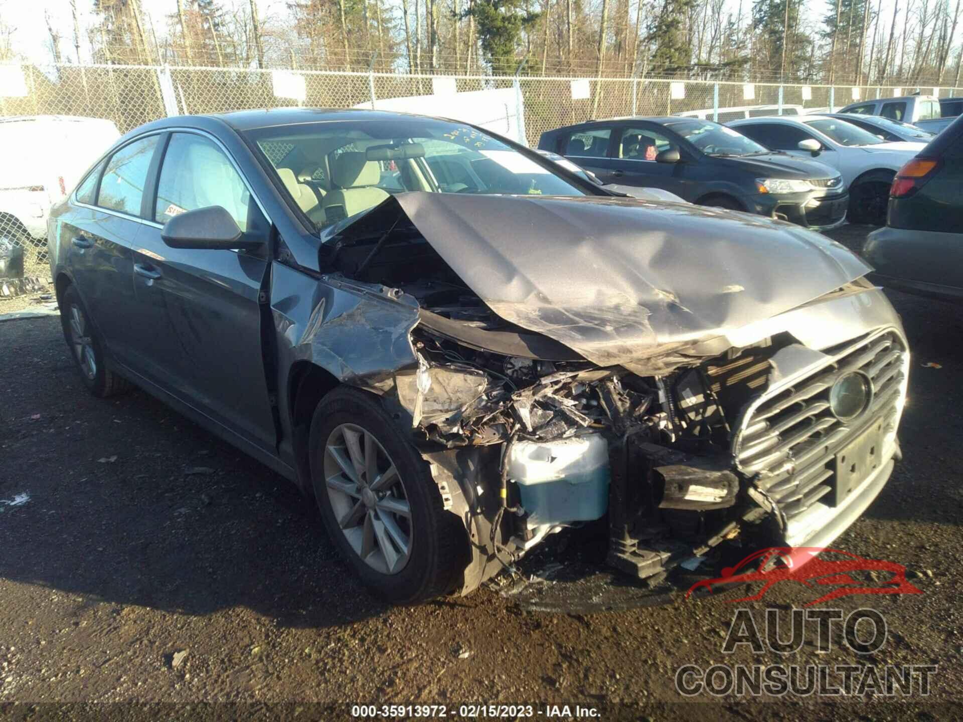 HYUNDAI SONATA 2019 - 5NPE24AF8KH799588