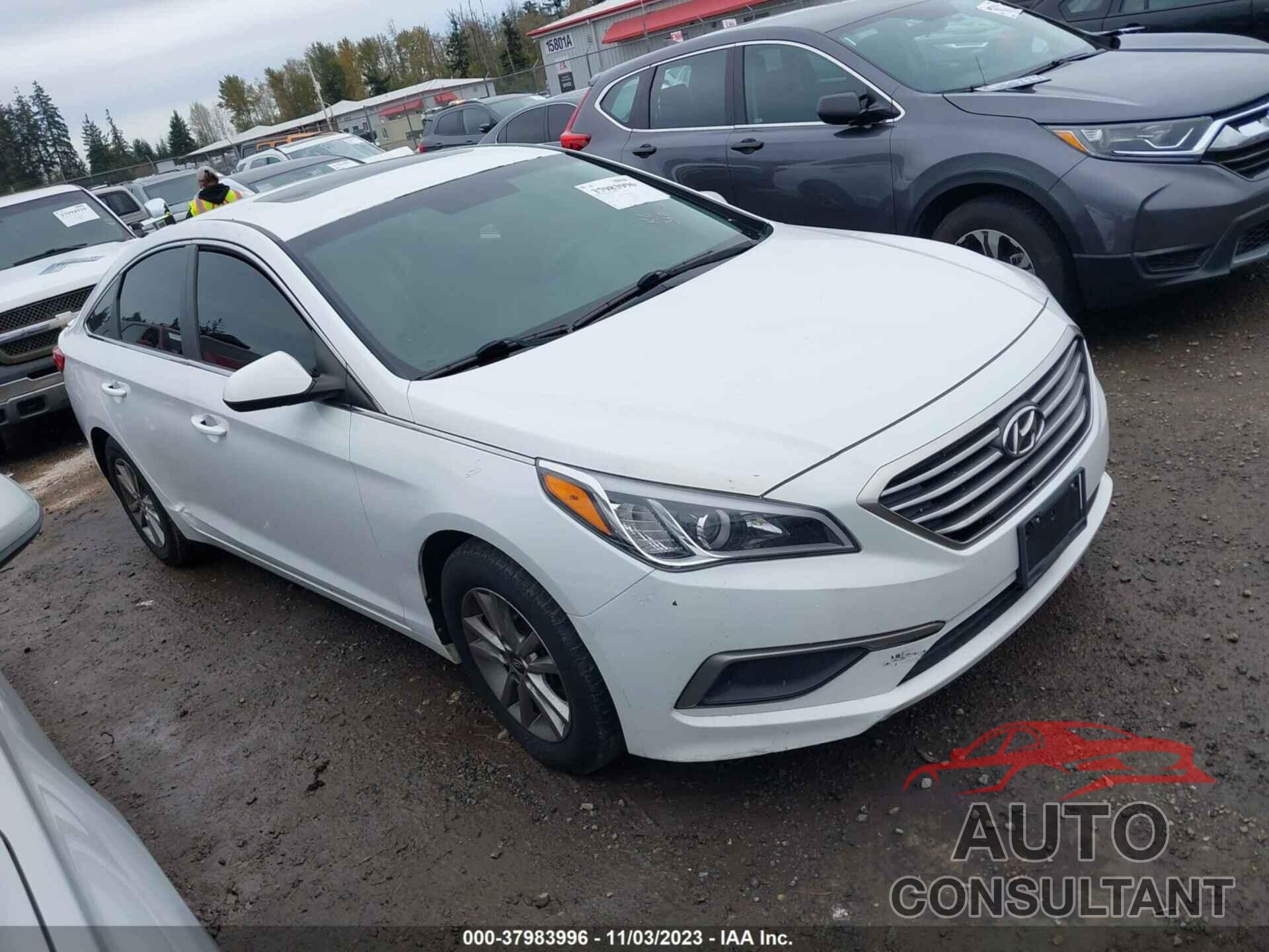 HYUNDAI SONATA 2016 - 5NPE24AF0GH392971