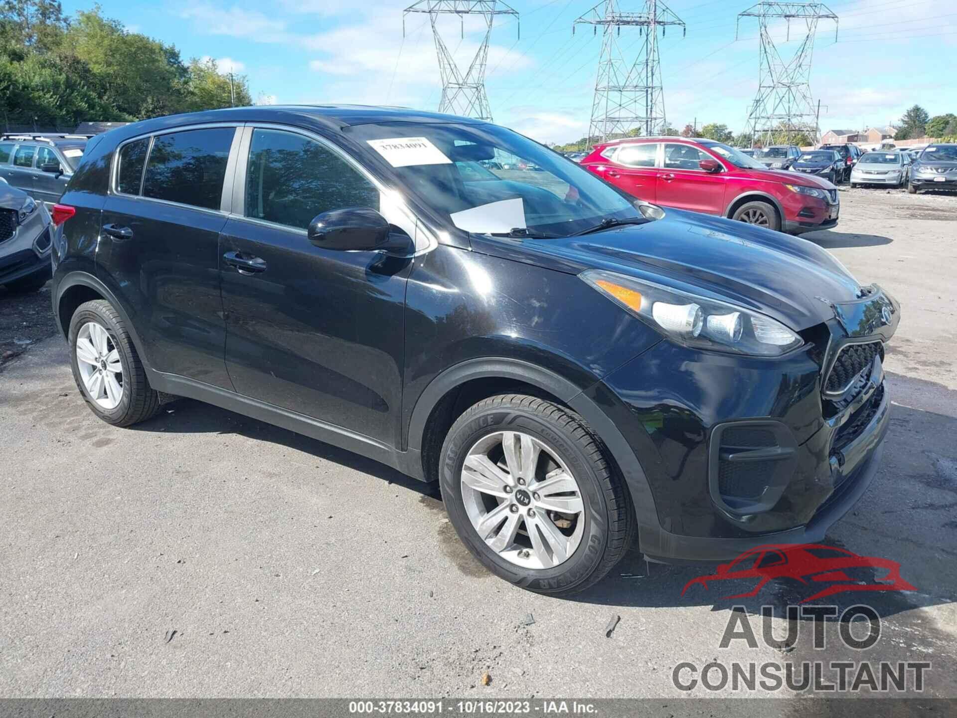 KIA SPORTAGE 2019 - KNDPM3AC4K7550213
