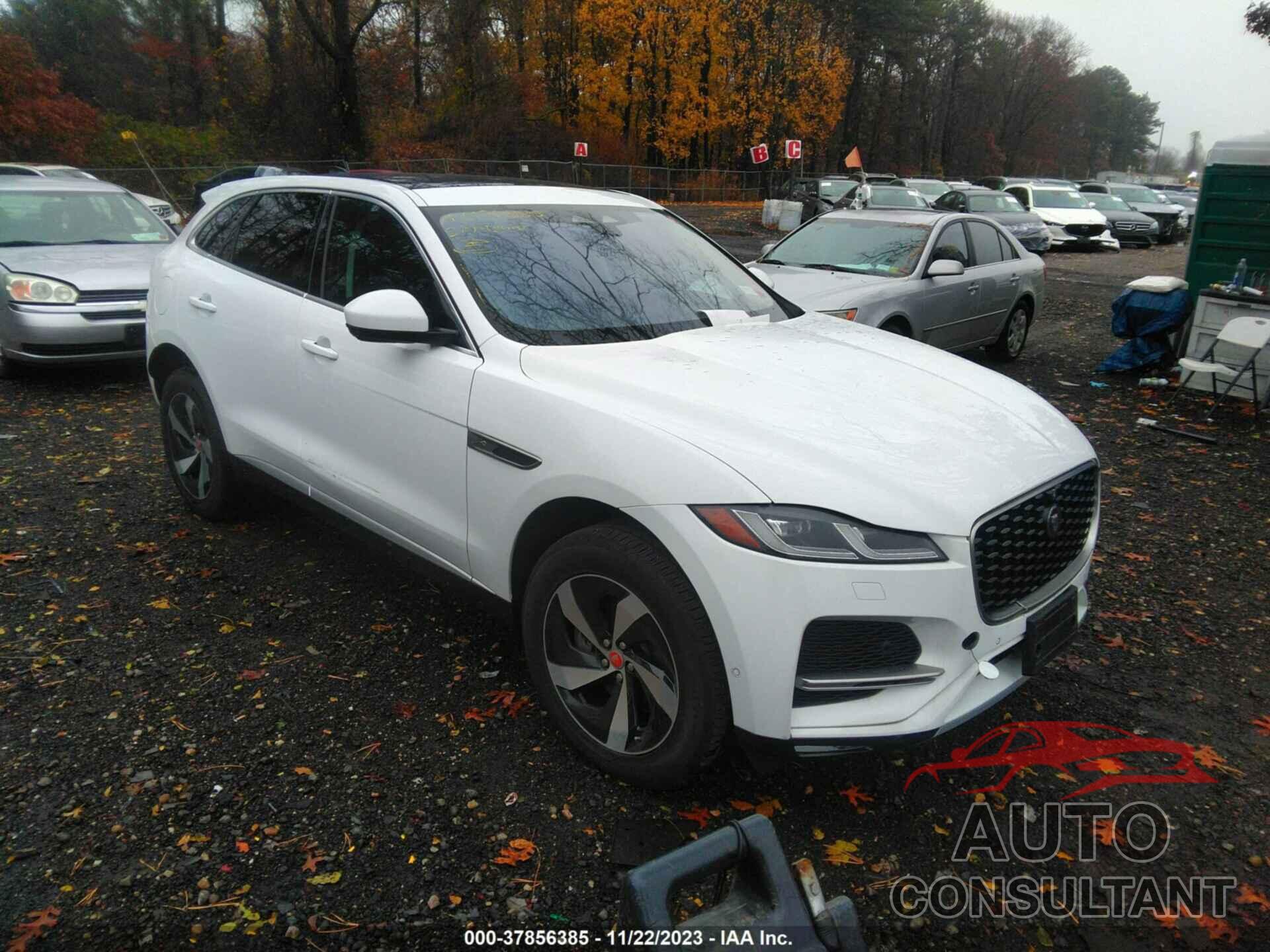 JAGUAR F-PACE 2021 - SADCJ2EX5MA671616