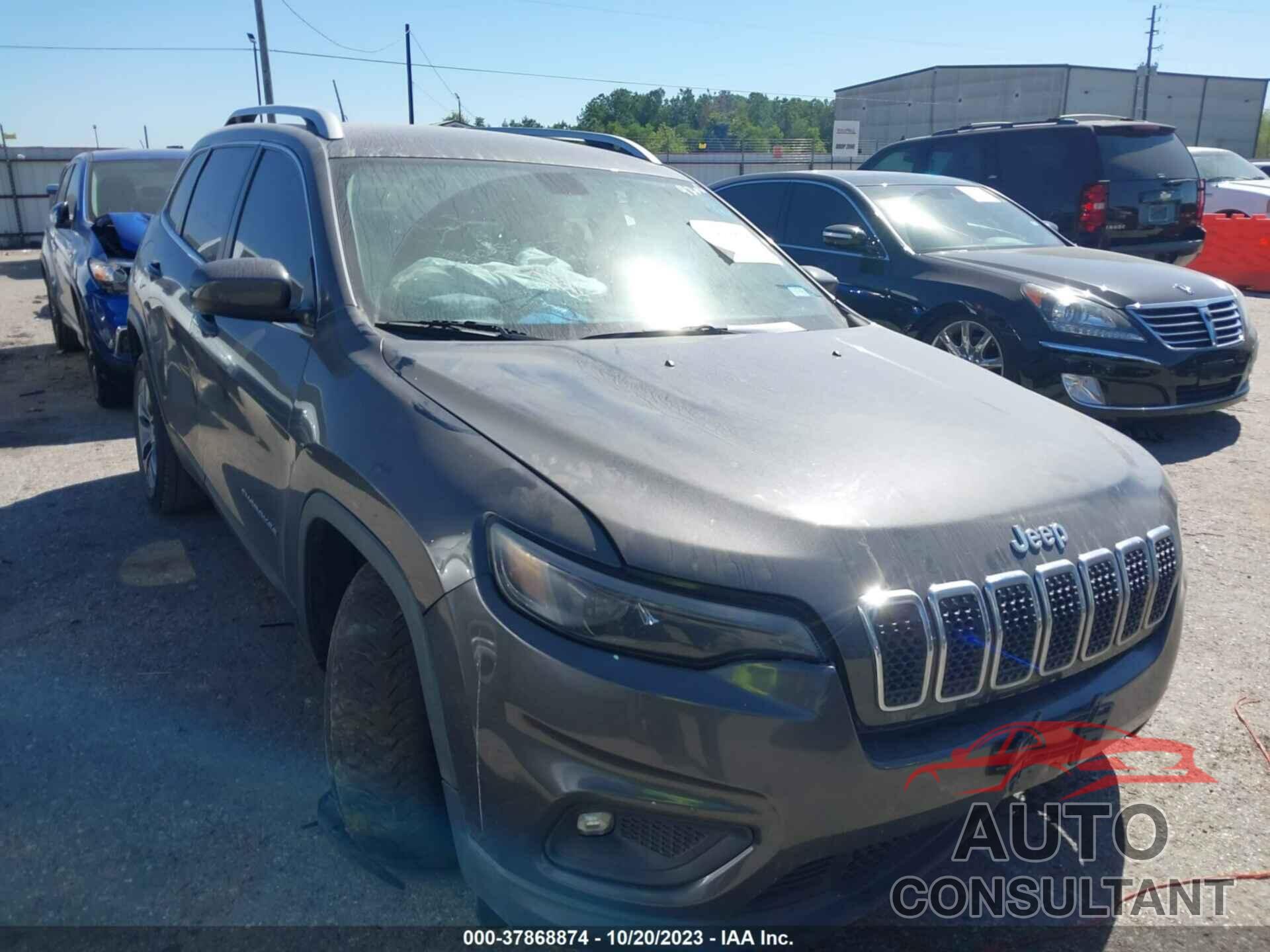 JEEP CHEROKEE 2019 - 1C4PJLLB5KD249206