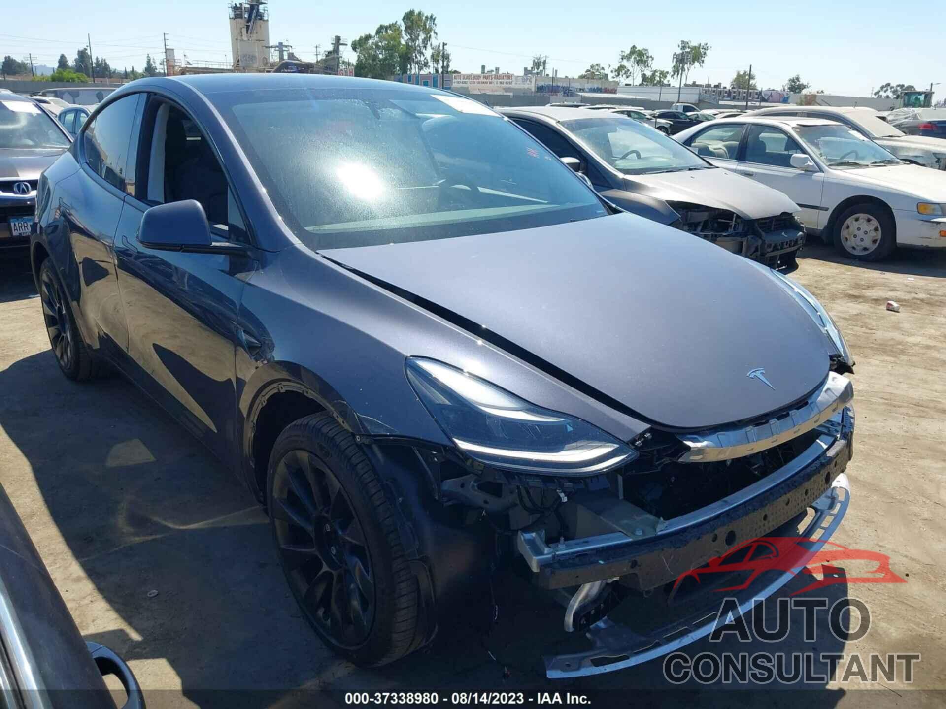 TESLA MODEL Y 2023 - 7SAYGAEE8PF831009