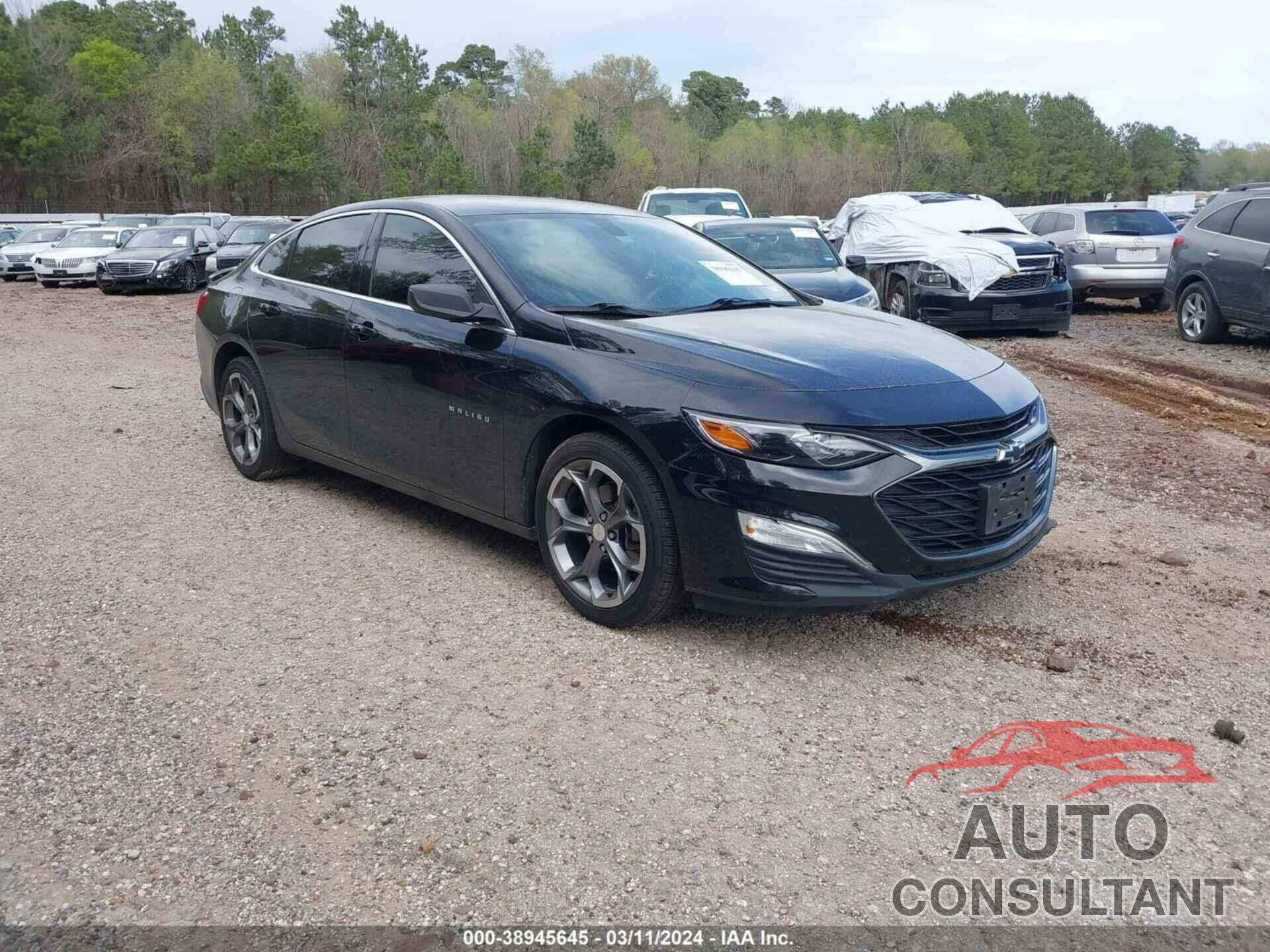 CHEVROLET MALIBU 2019 - 1G1ZG5ST6KF207959