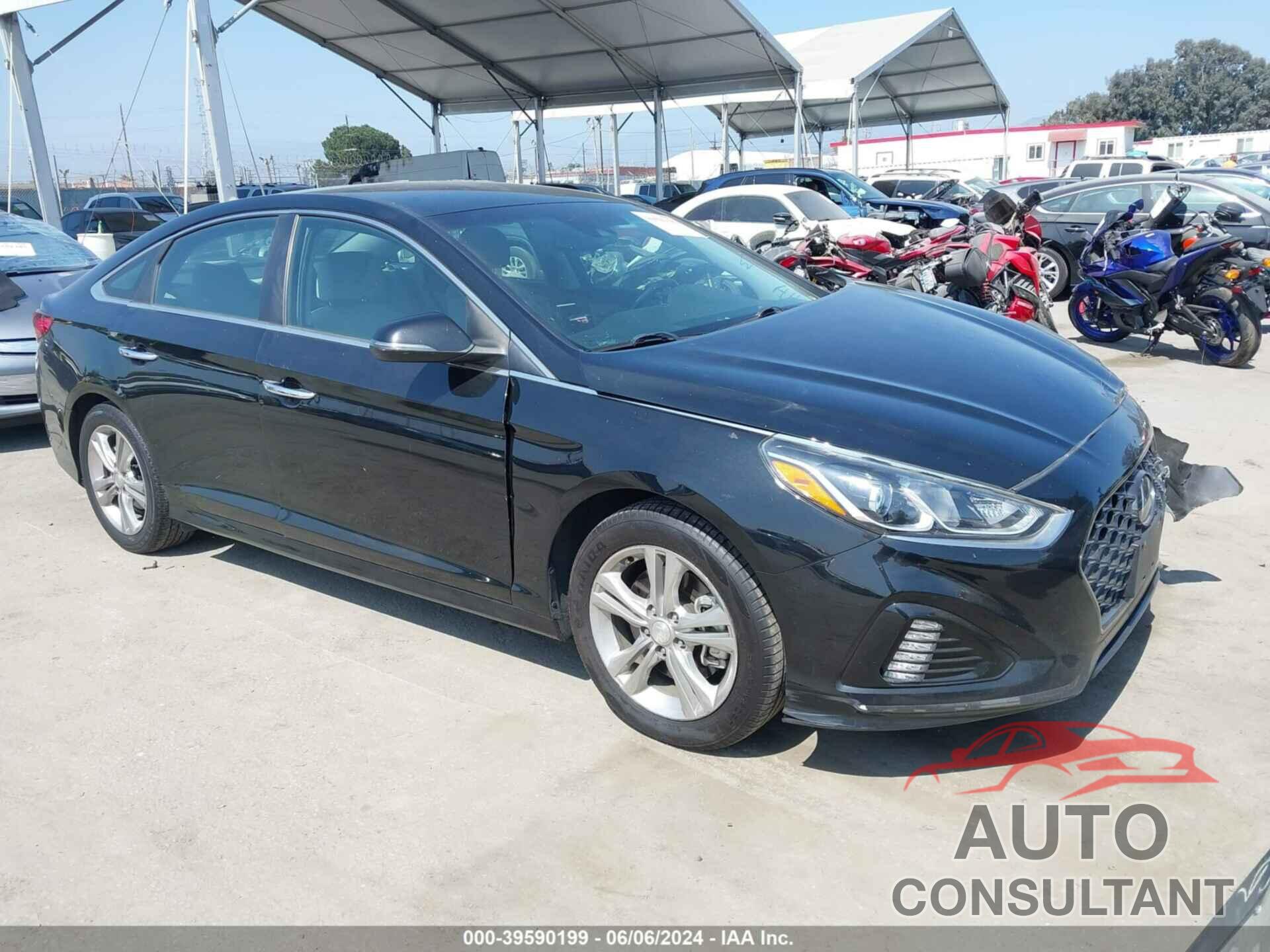 HYUNDAI SONATA 2019 - 5NPE34AF0KH742640