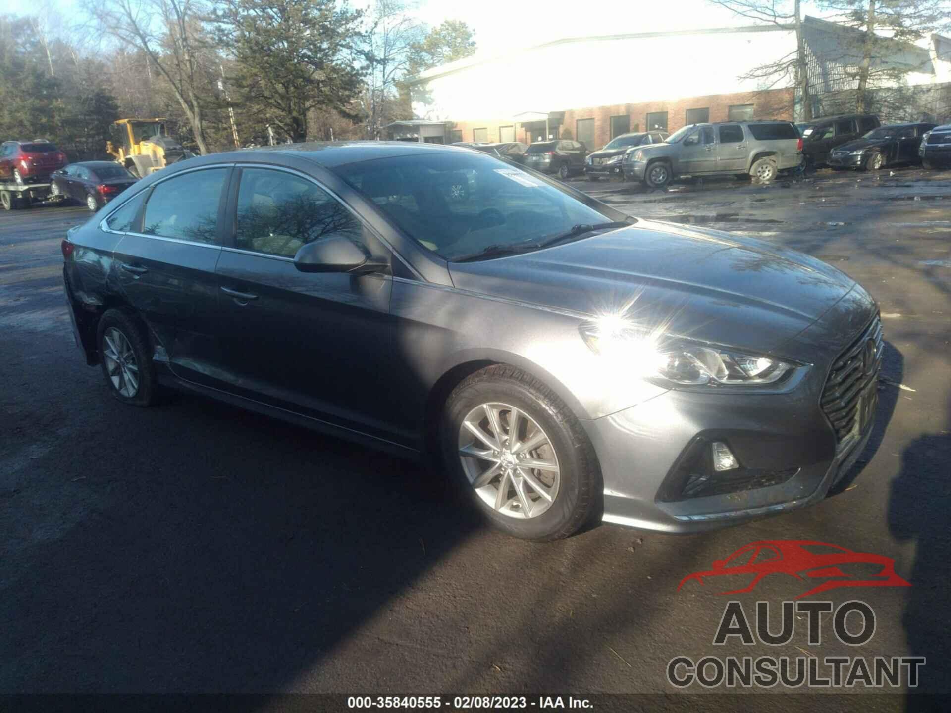 HYUNDAI SONATA 2019 - 5NPE24AF8KH810749