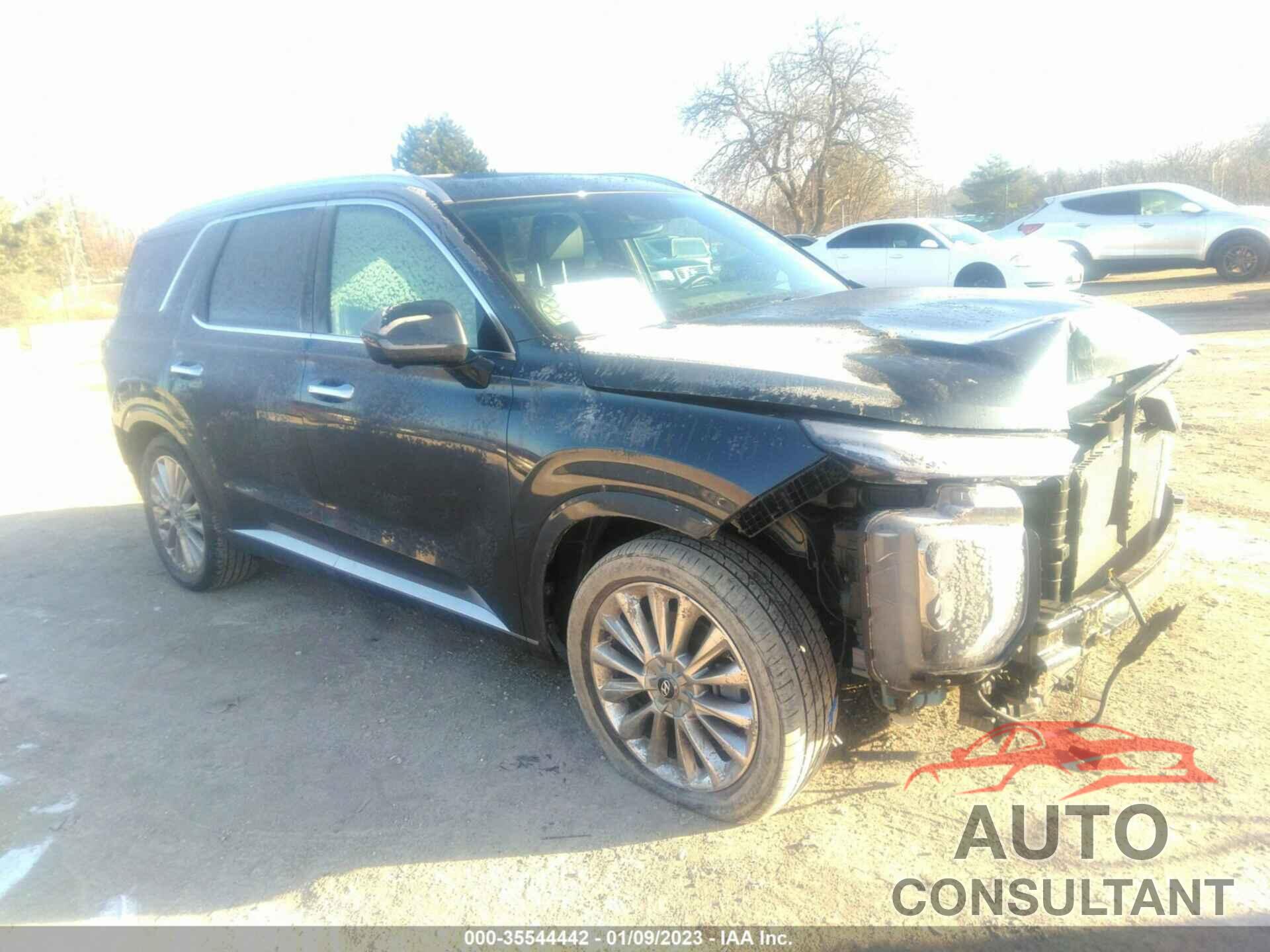 HYUNDAI PALISADE 2020 - KM8R5DHE8LU082343