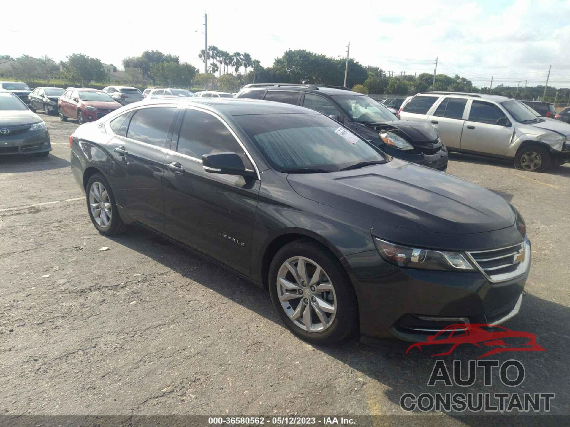 CHEVROLET IMPALA 2019 - 2G11Z5S30K9121322