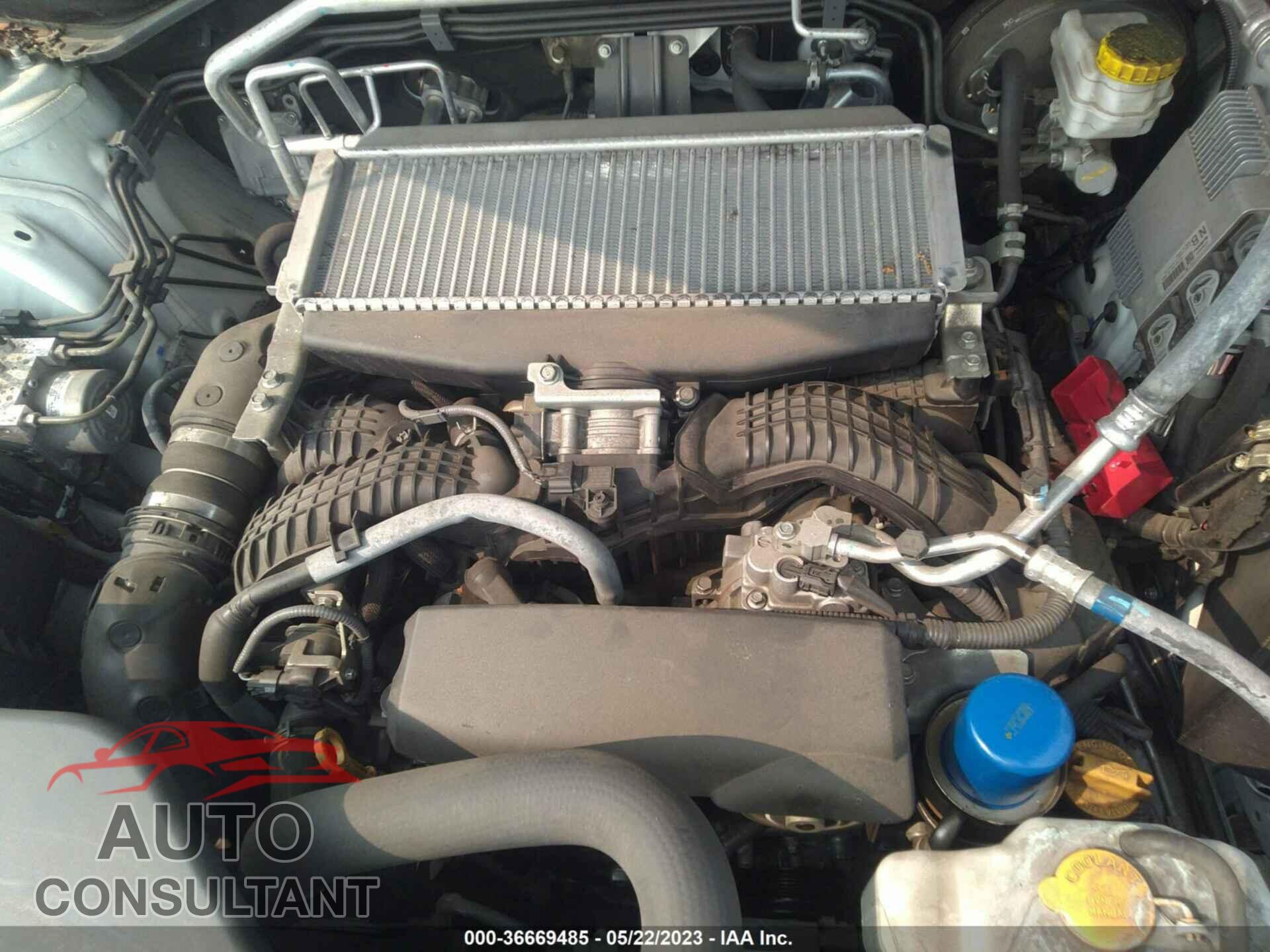 SUBARU ASCENT 2020 - 4S4WMARD1L3406572