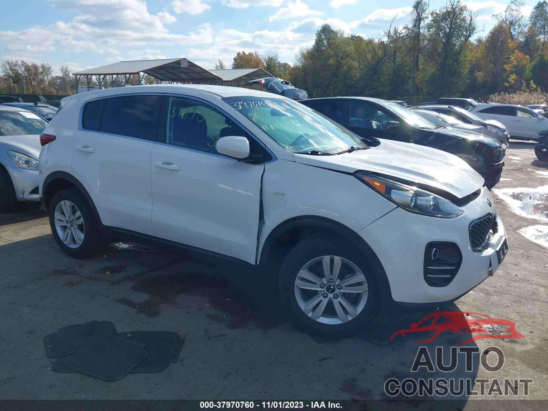 KIA SPORTAGE 2019 - KNDPMCAC3K7565530