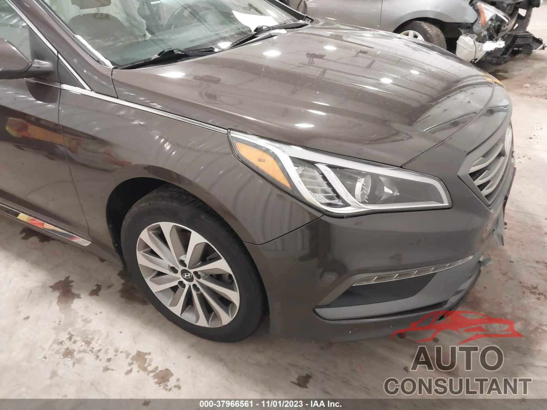 HYUNDAI SONATA 2016 - 5NPE34AF9GH293546