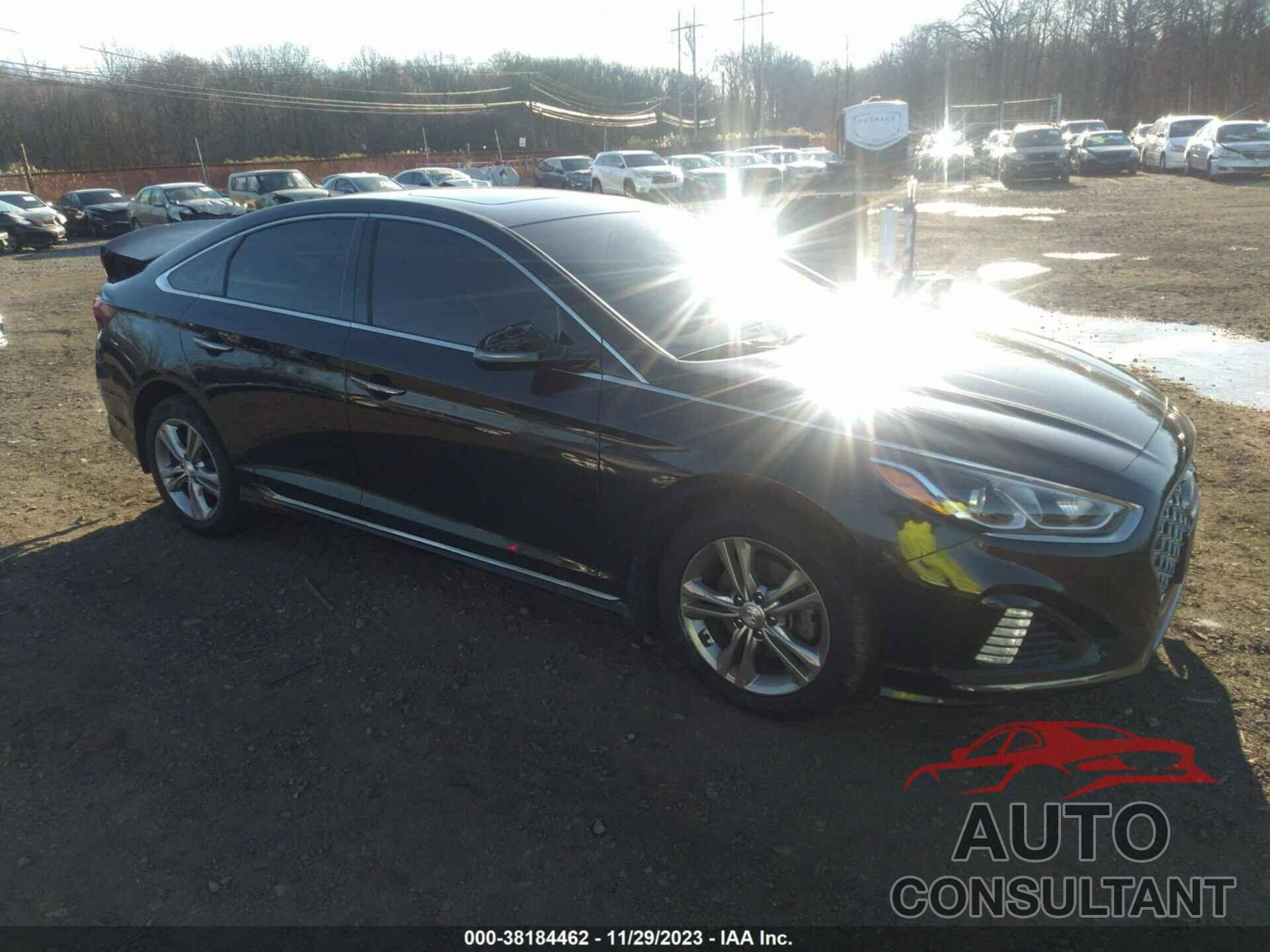 HYUNDAI SONATA 2019 - 5NPE34AF2KH761304