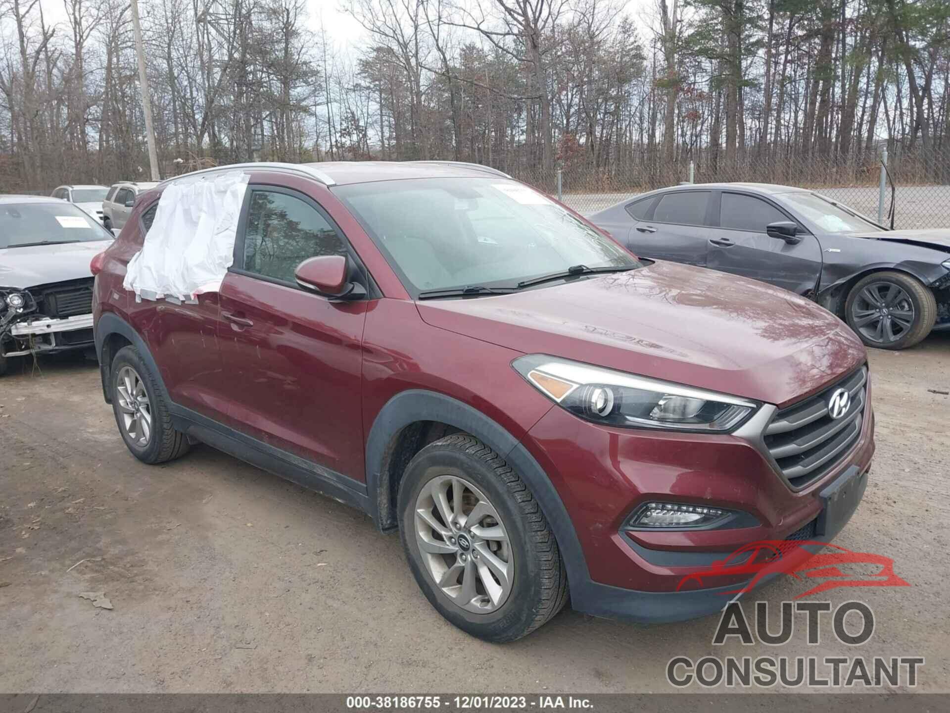 HYUNDAI TUCSON 2016 - KM8J33A22GU025932