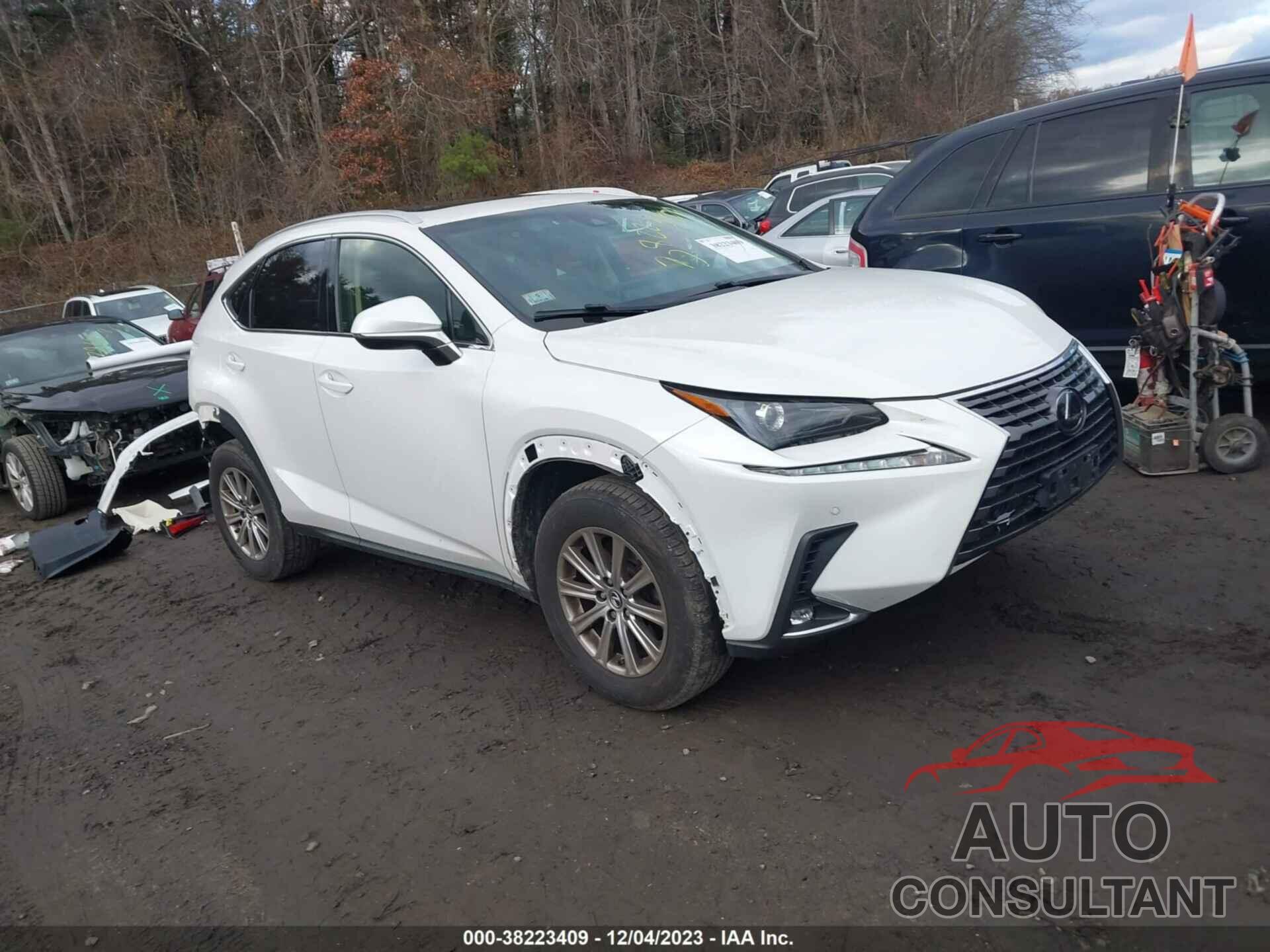 LEXUS NX 300 2019 - JTJBARBZXK2184289