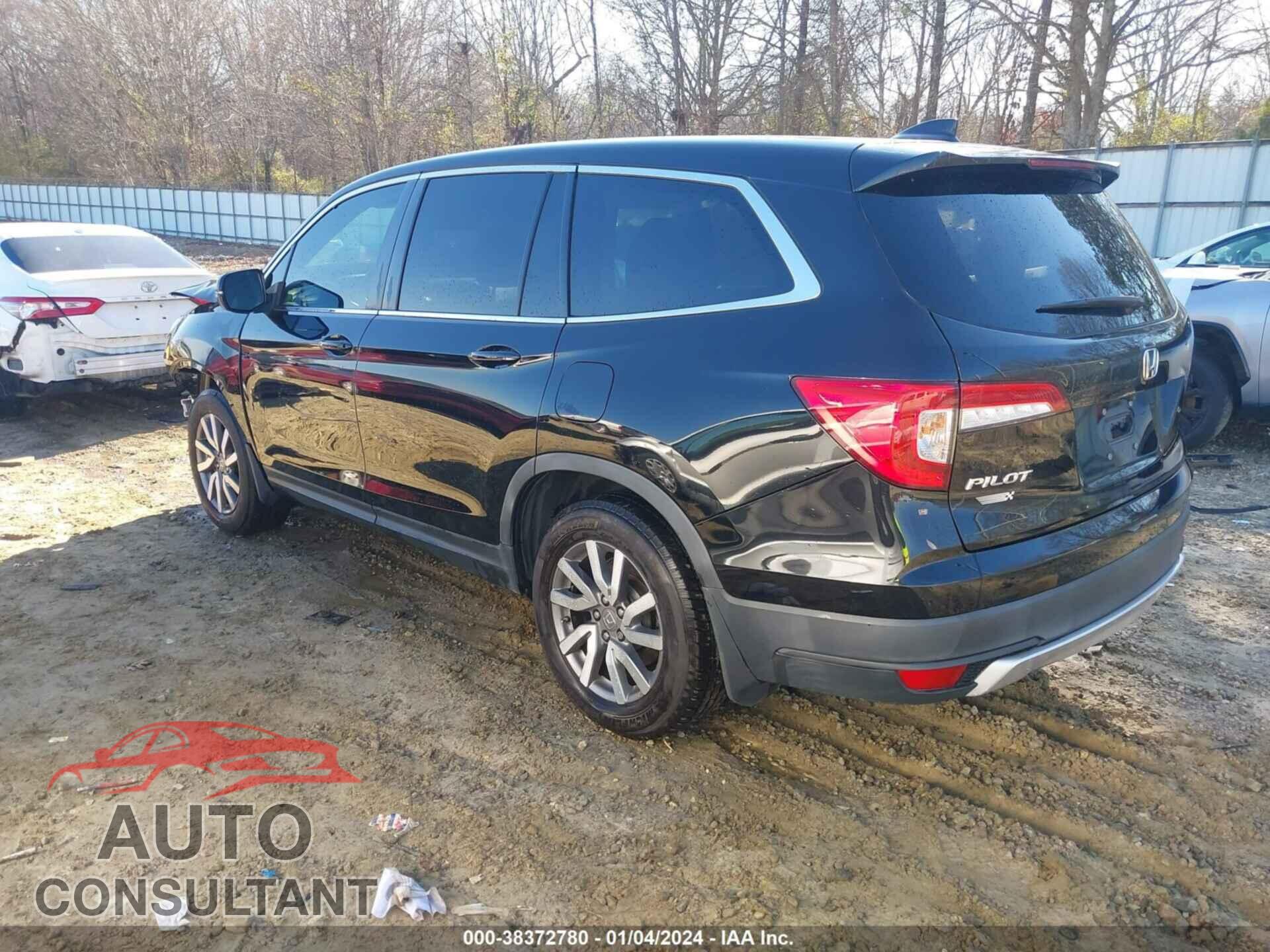 HONDA PILOT 2019 - 5FNYF5H55KB044272