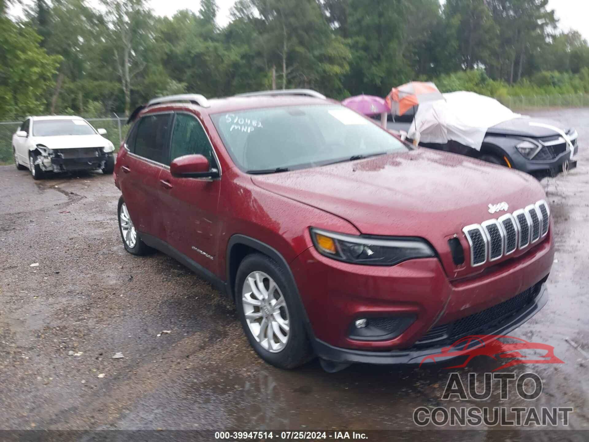 JEEP CHEROKEE 2019 - 1C4PJLCB3KD358165