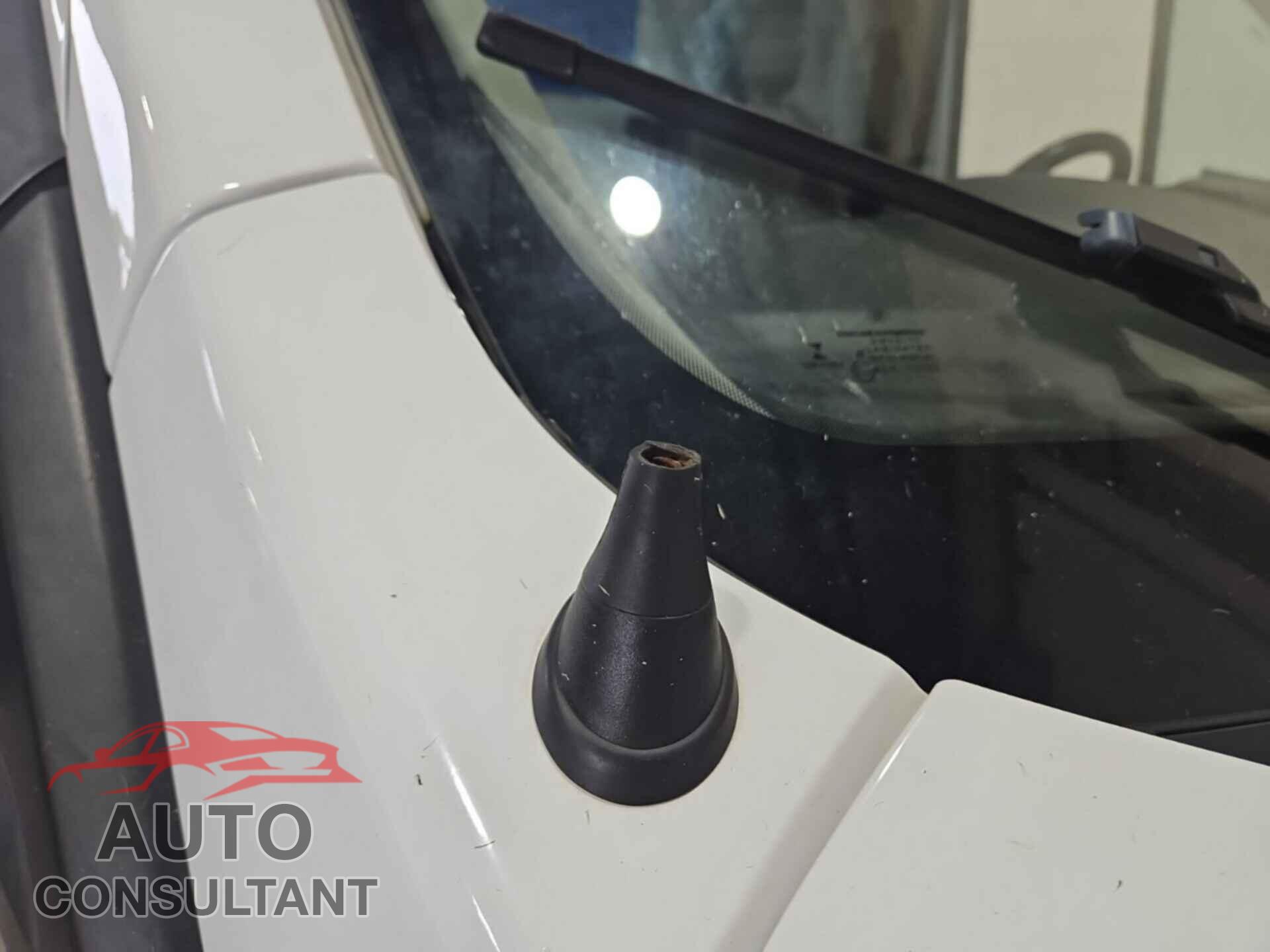 FORD TRANSIT 2019 - 1FTYR2CM1KKA28898