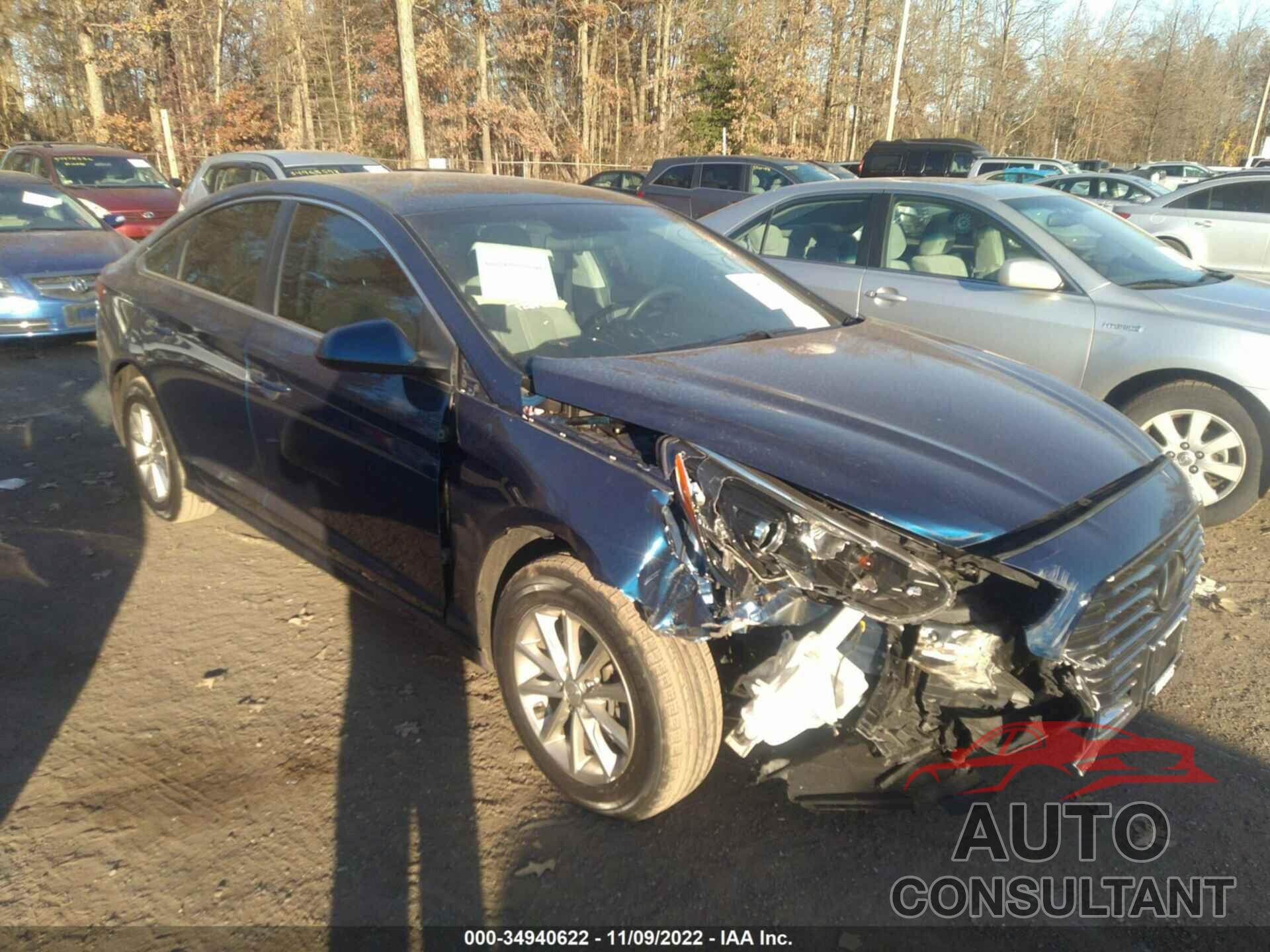 HYUNDAI SONATA 2019 - 5NPE24AF7KH778912