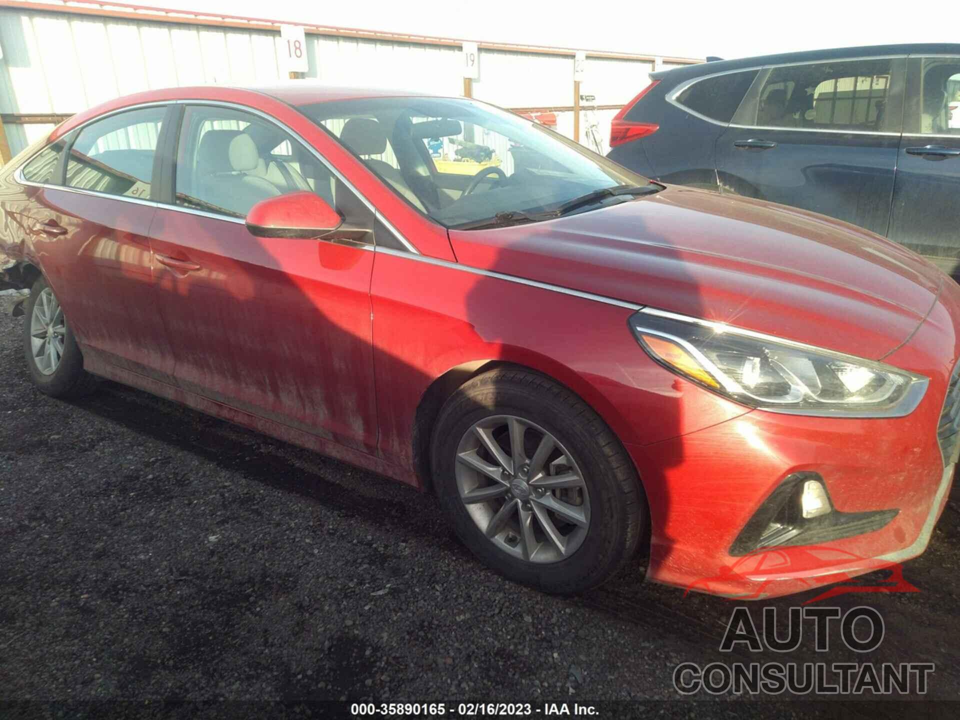 HYUNDAI SONATA 2019 - 5NPE24AF2KH790563