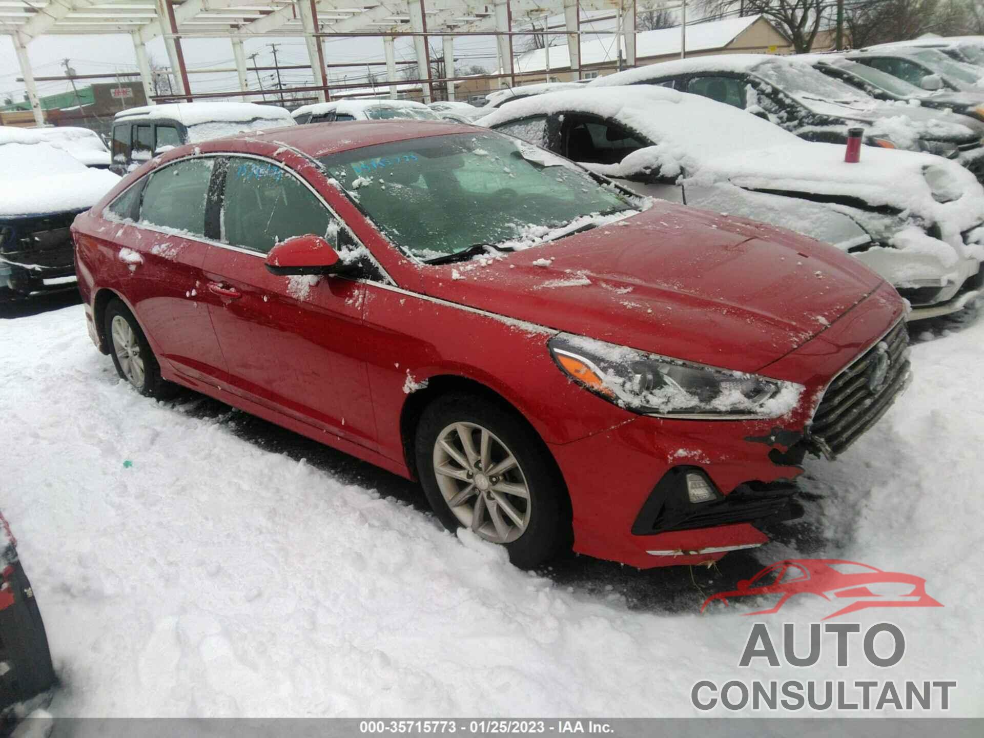 HYUNDAI SONATA 2019 - 5NPE24AF6KH746646