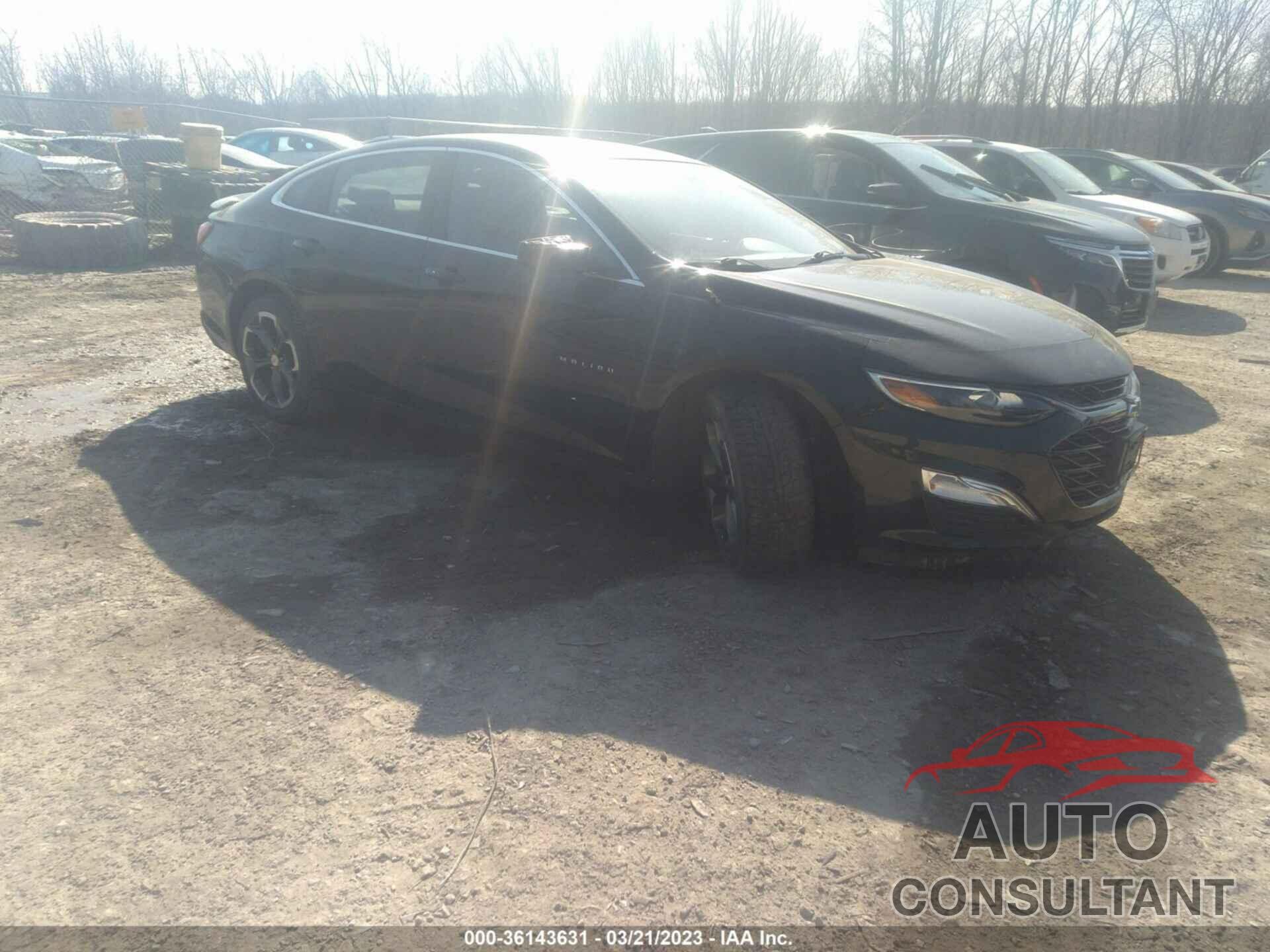 CHEVROLET MALIBU 2019 - 1G1ZG5ST2KF161580