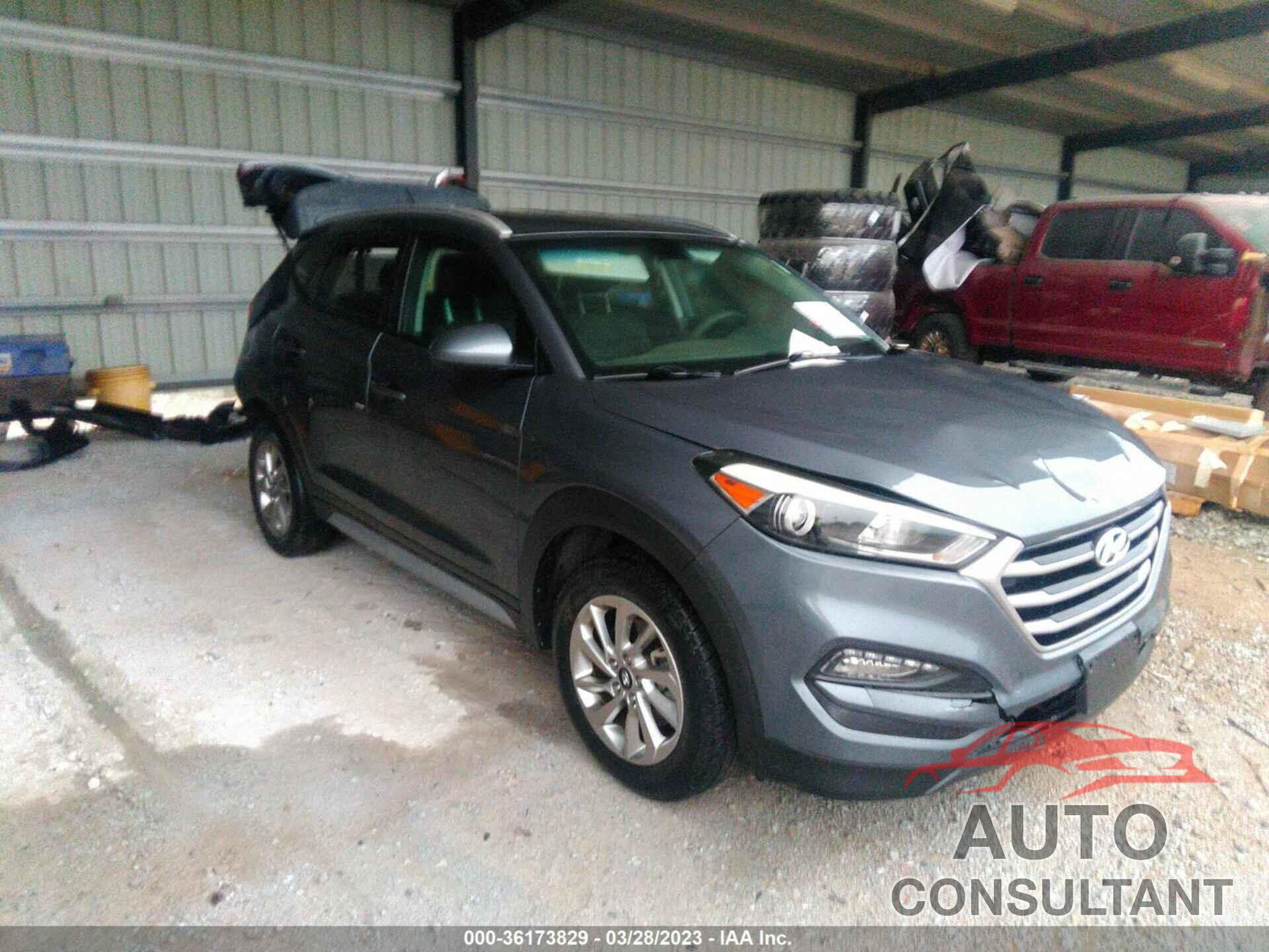 HYUNDAI TUCSON 2017 - KM8J33A46HU502185