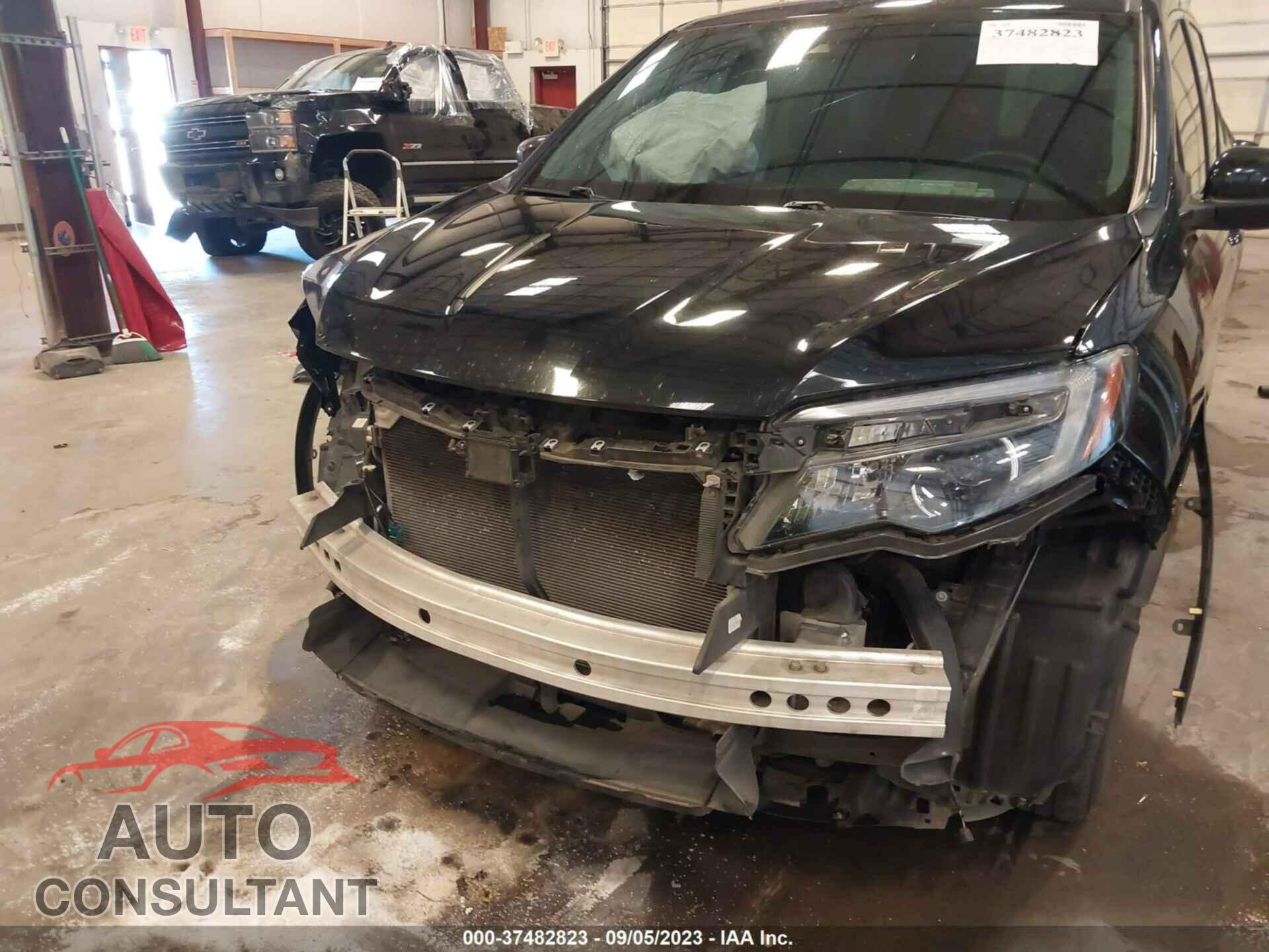 HONDA PILOT 2019 - 5FNYF6H54KB090505