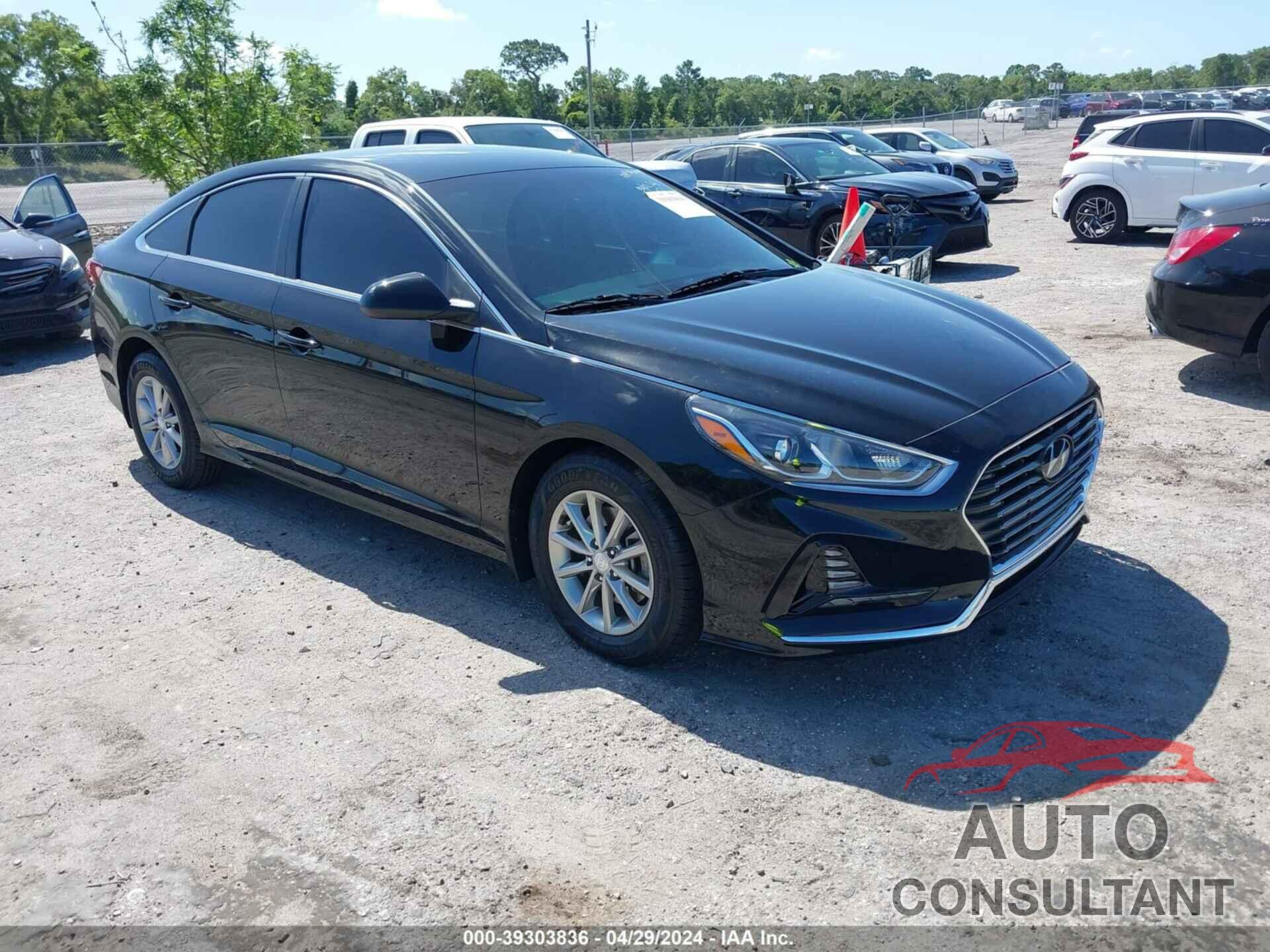 HYUNDAI SONATA 2019 - 5NPE24AF6KH743259