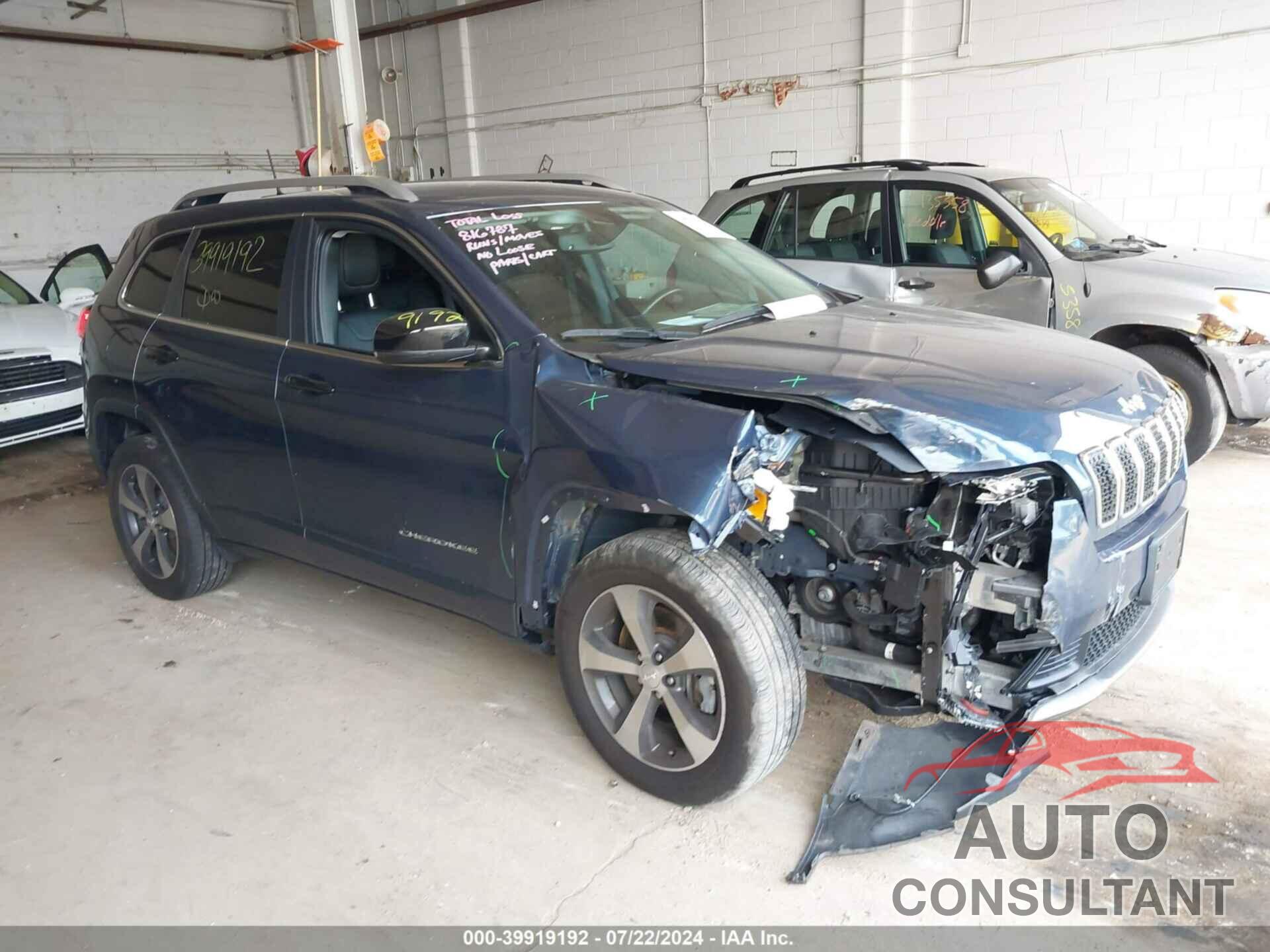 JEEP CHEROKEE 2019 - 1C4PJMDX0KD476416