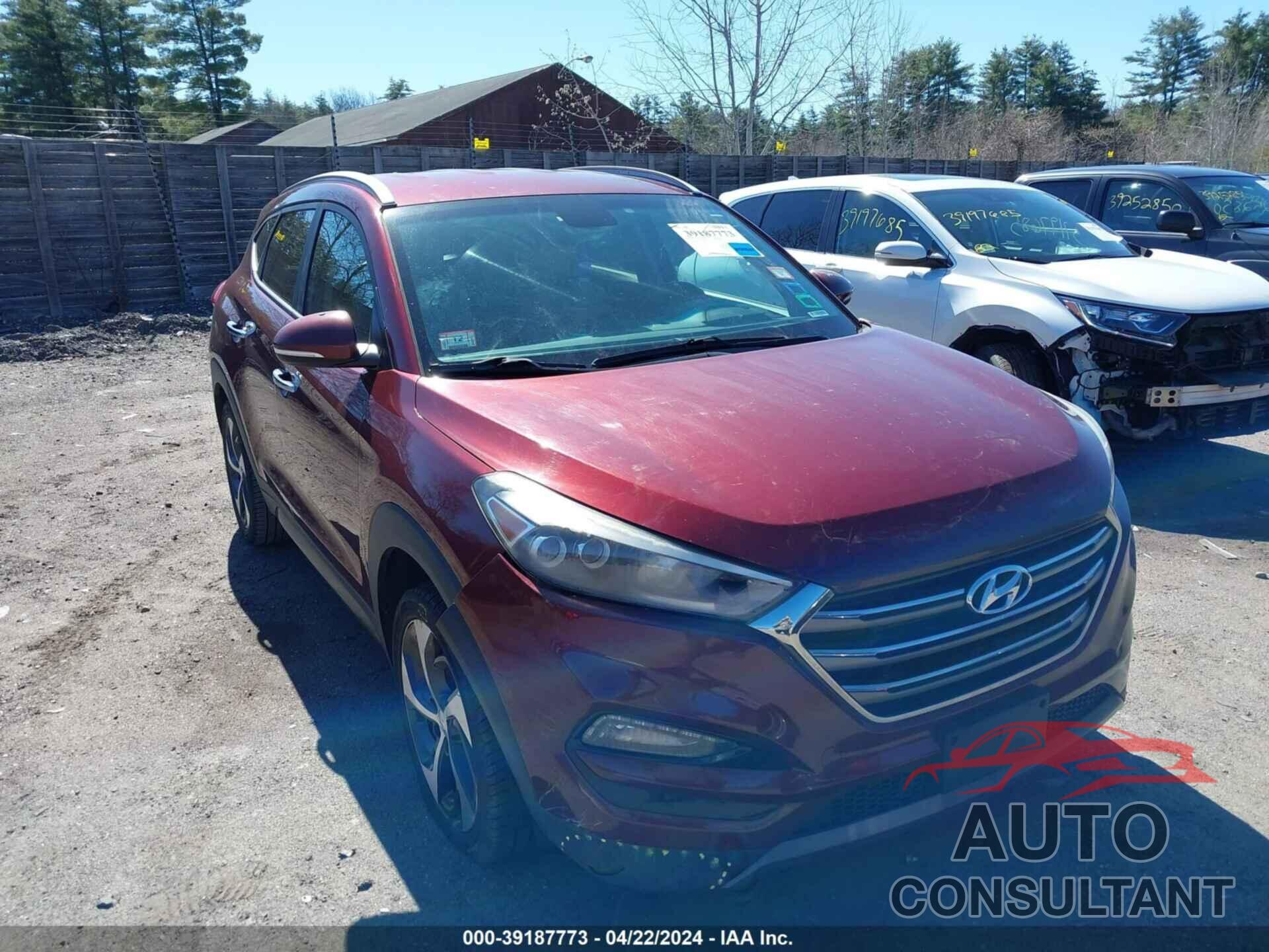 HYUNDAI TUCSON 2016 - KM8J3CA28GU167976