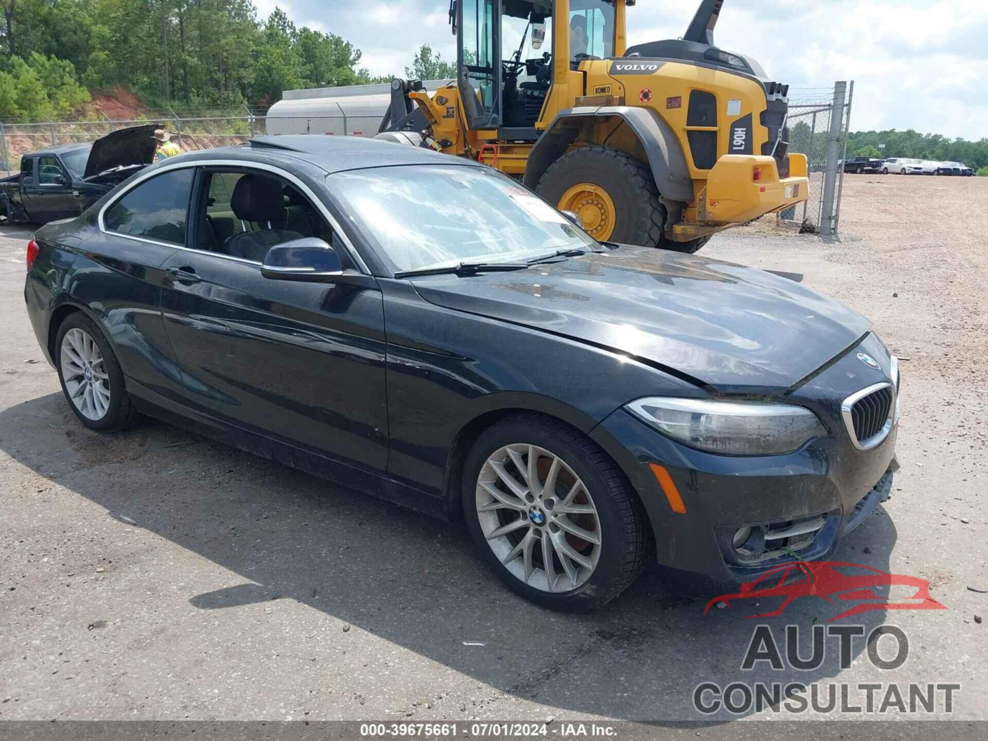 BMW 228I 2016 - WBA1F9C54GV546079