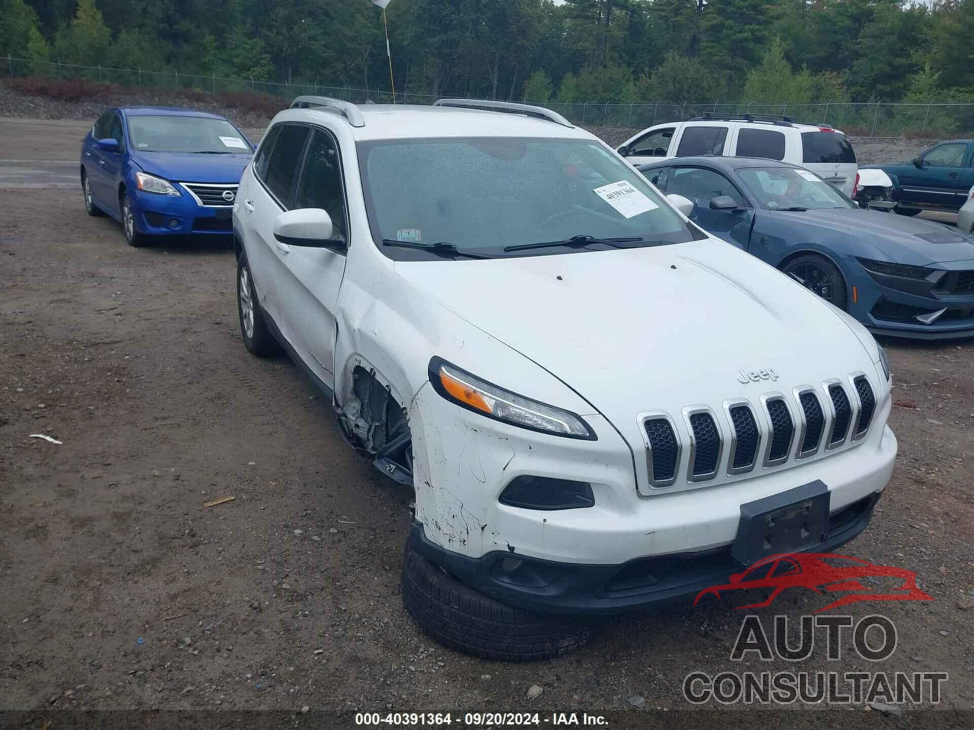 JEEP CHEROKEE 2017 - 1C4PJMCB7HW633359