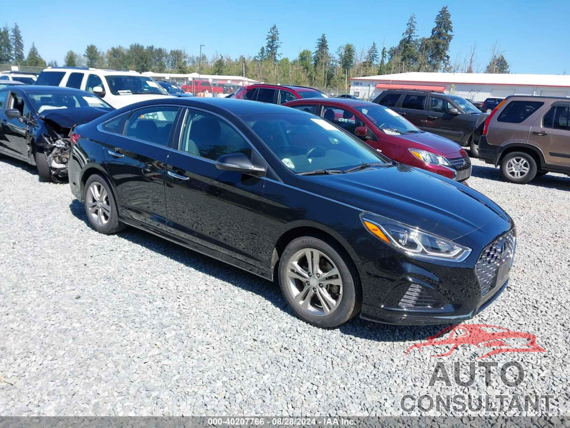 HYUNDAI SONATA 2019 - 5NPE34AF6KH783709