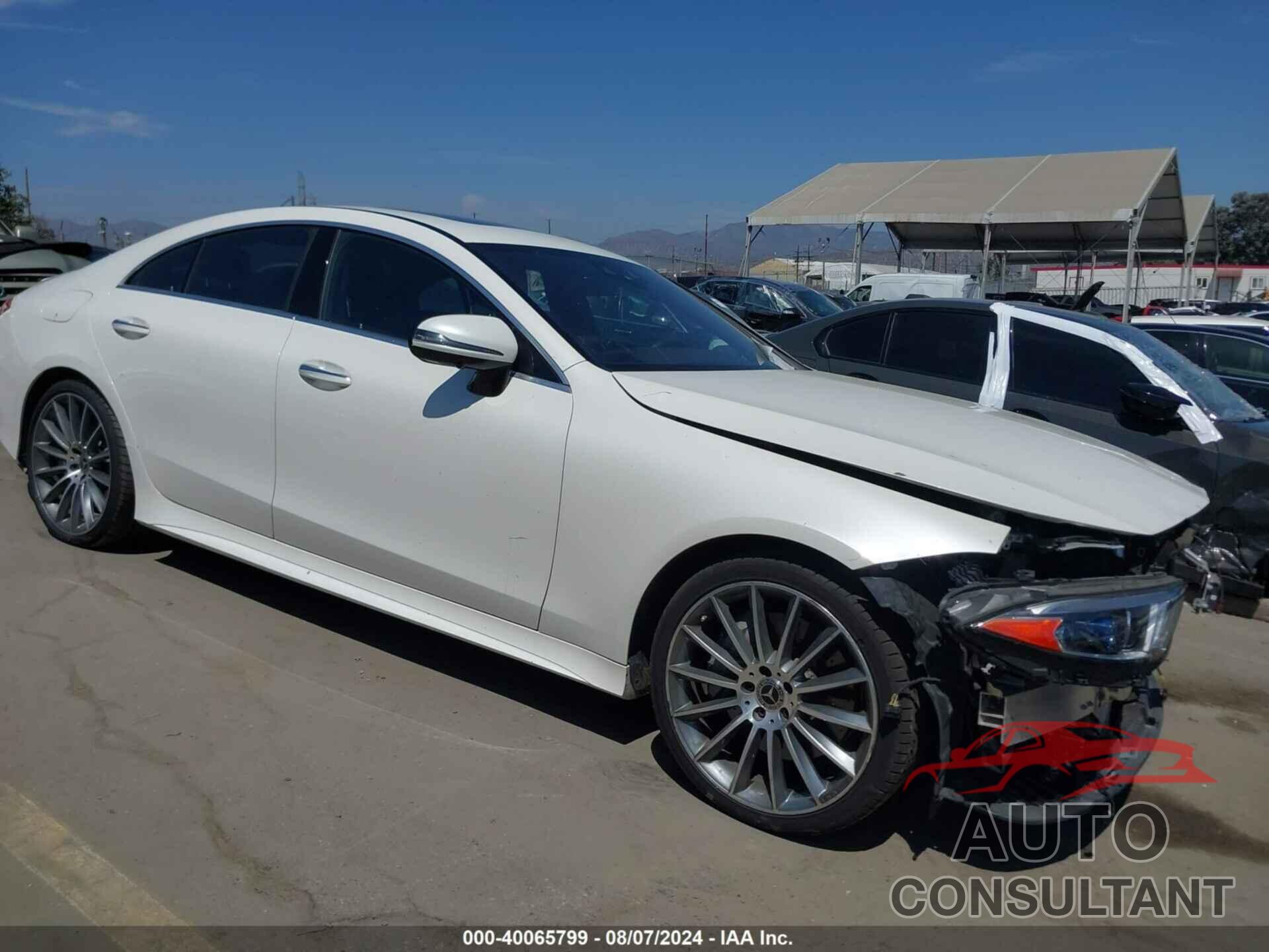 MERCEDES-BENZ CLS 450 2019 - WDD2J5JB3KA027716